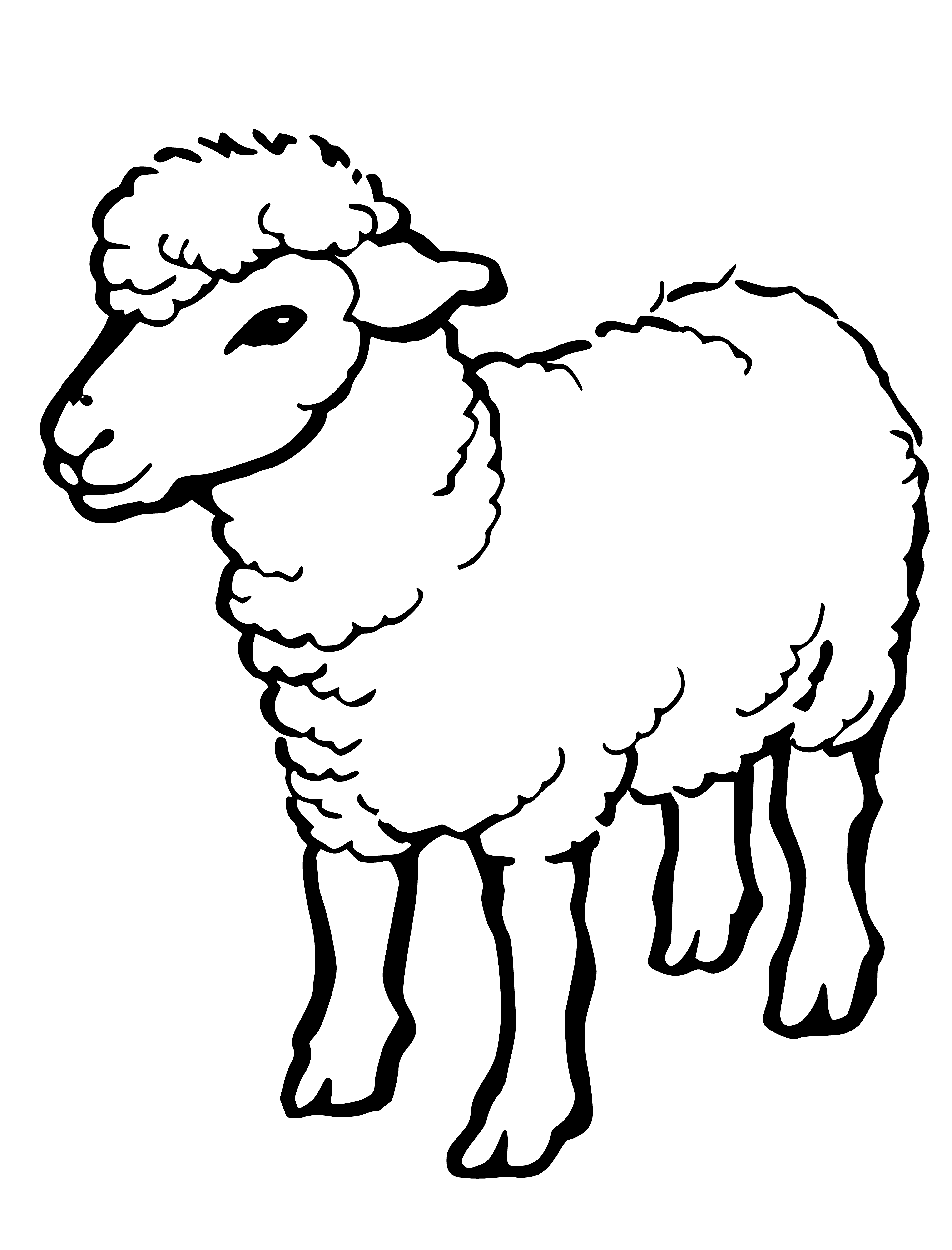 coloring page: Sheep with curly wool, big eyes, and black nose stands in a green field, head tilted to side.