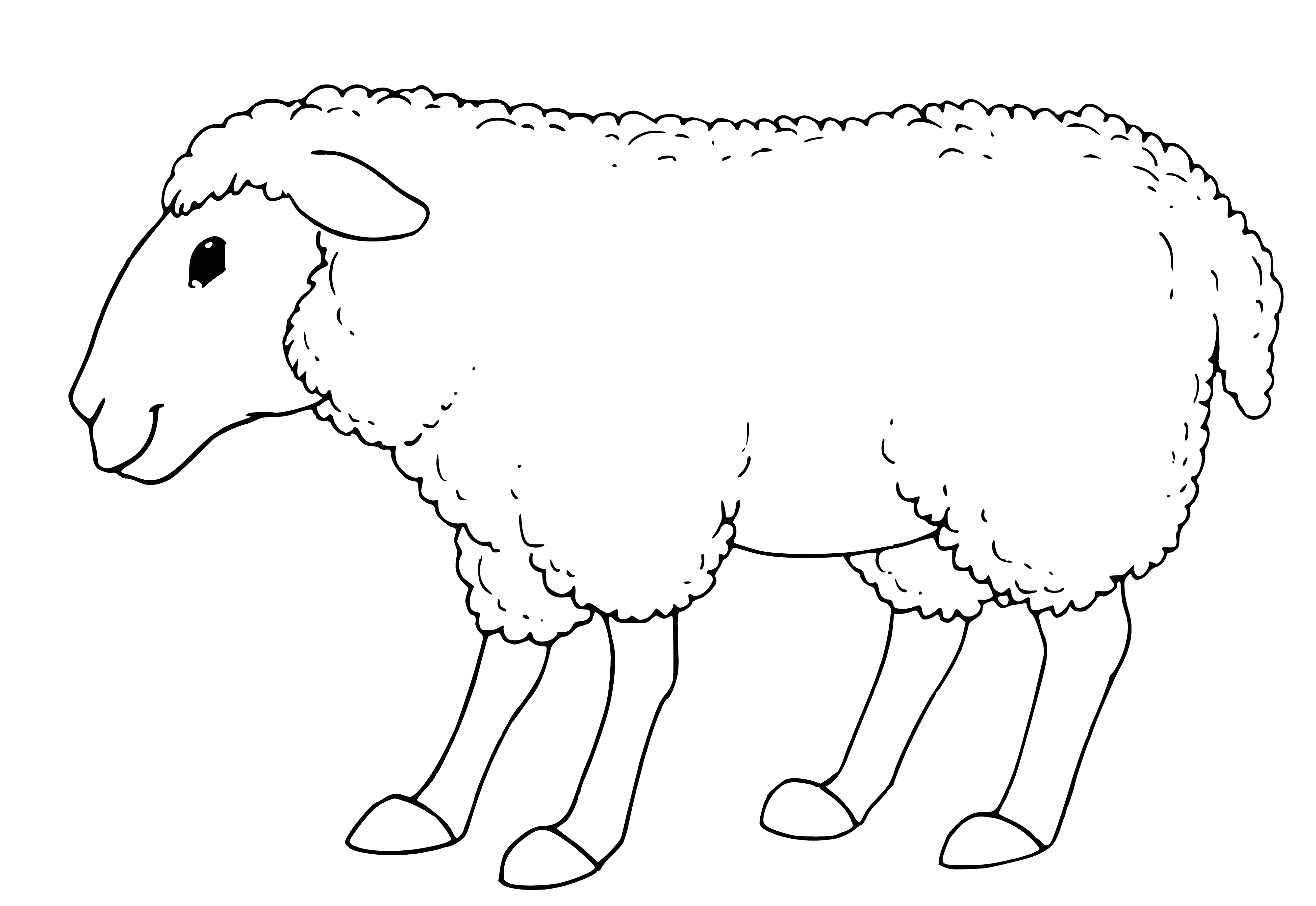 coloring page: Lamb & goat on coloring page, lamb smiling & goat gazing - a peaceful scene.