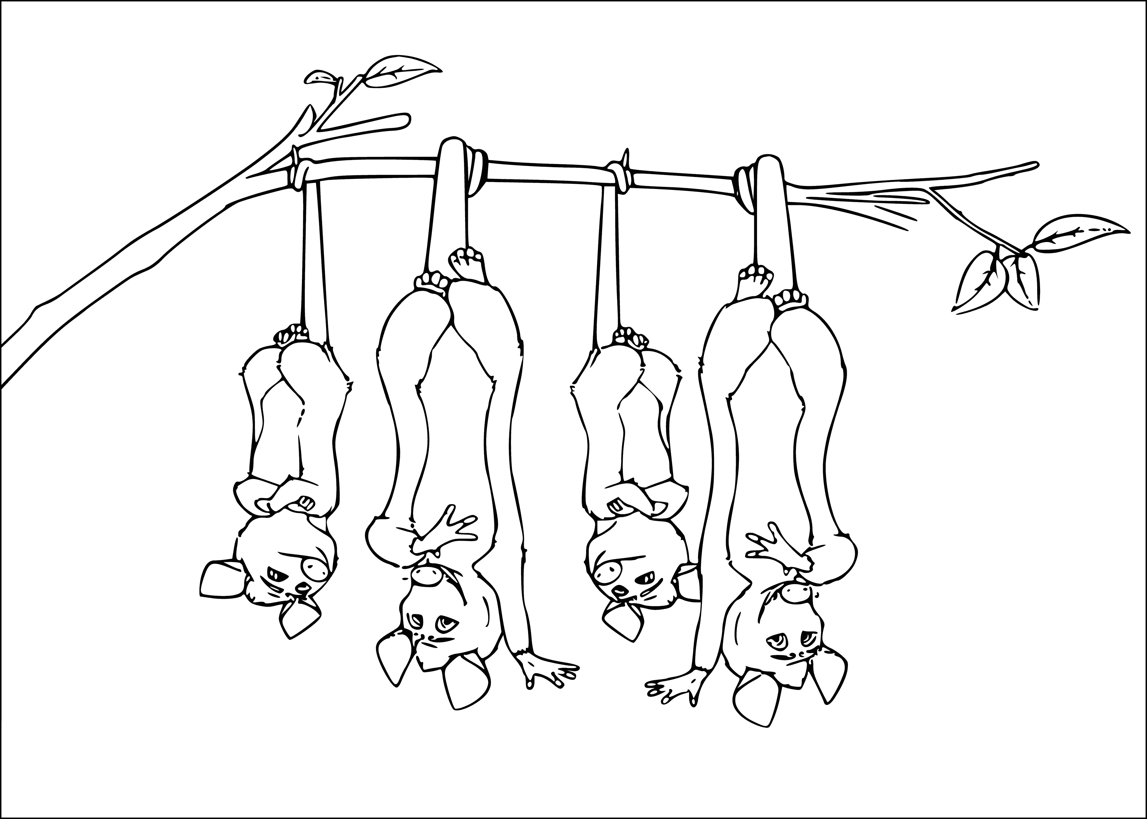 coloring page: Three opossums standing, eating & sitting down in a coloring page.
