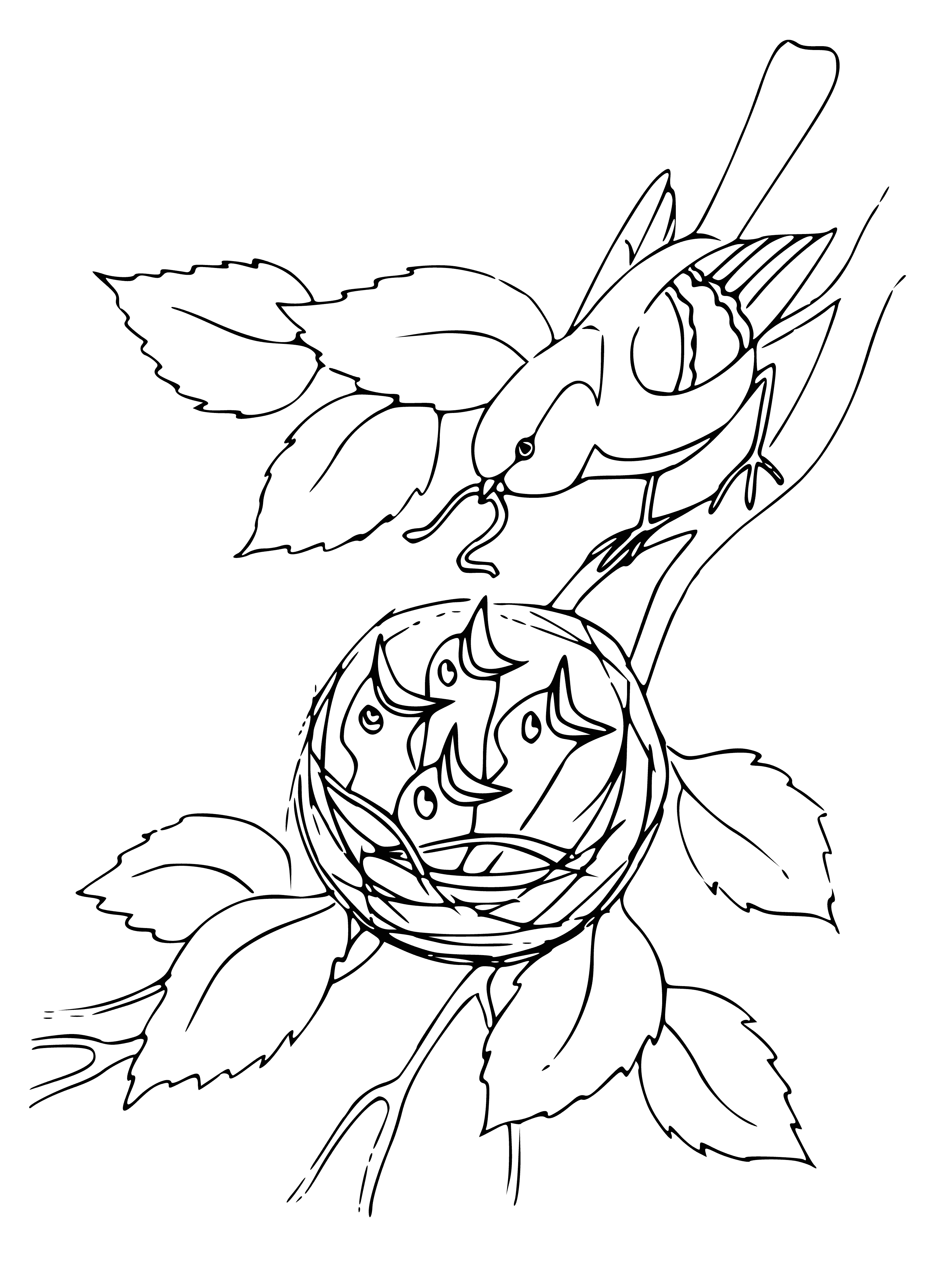 Chicks in the nest coloring page
