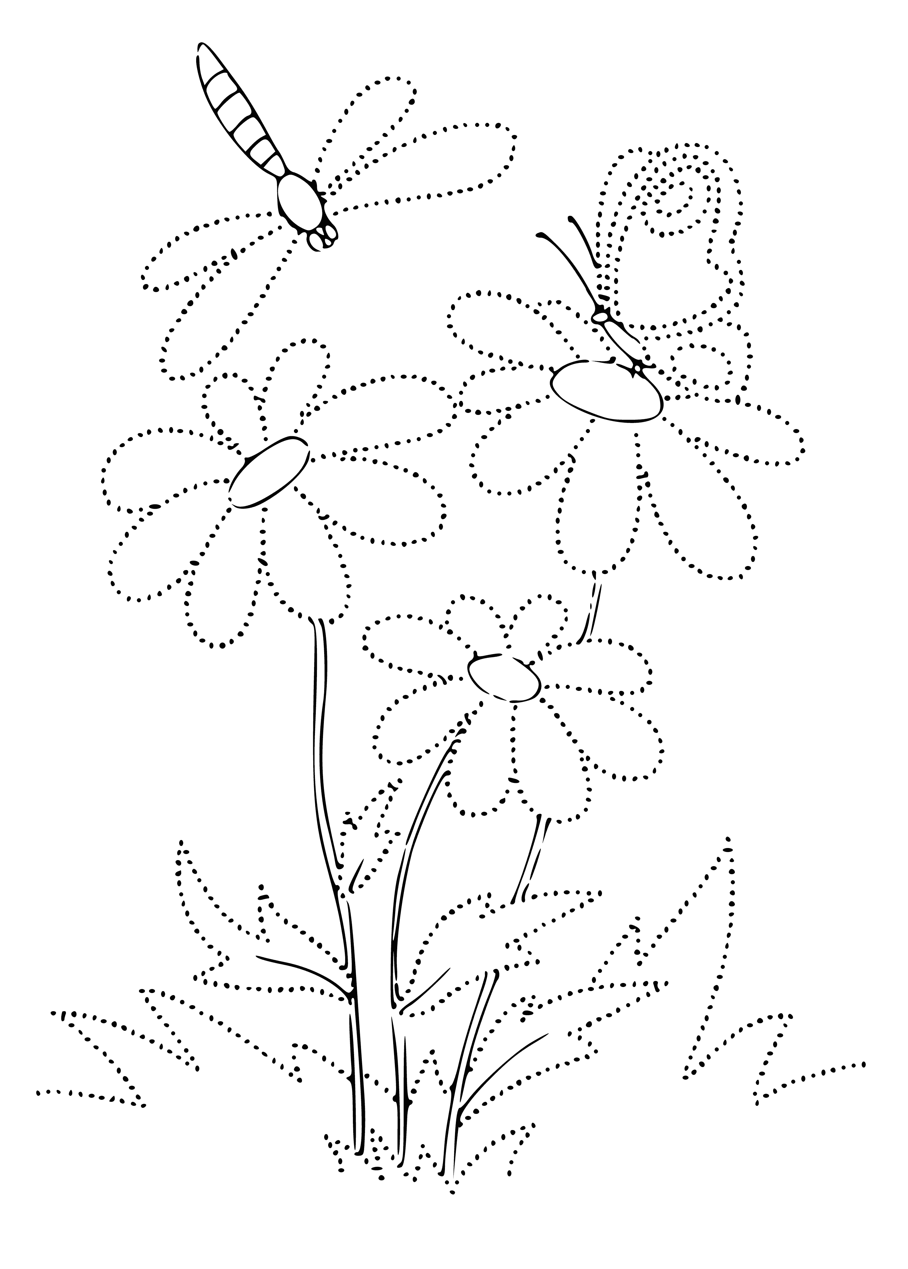 coloring page: Beautiful butterfly on flower - wings of different colors & flower a sunny yellow.