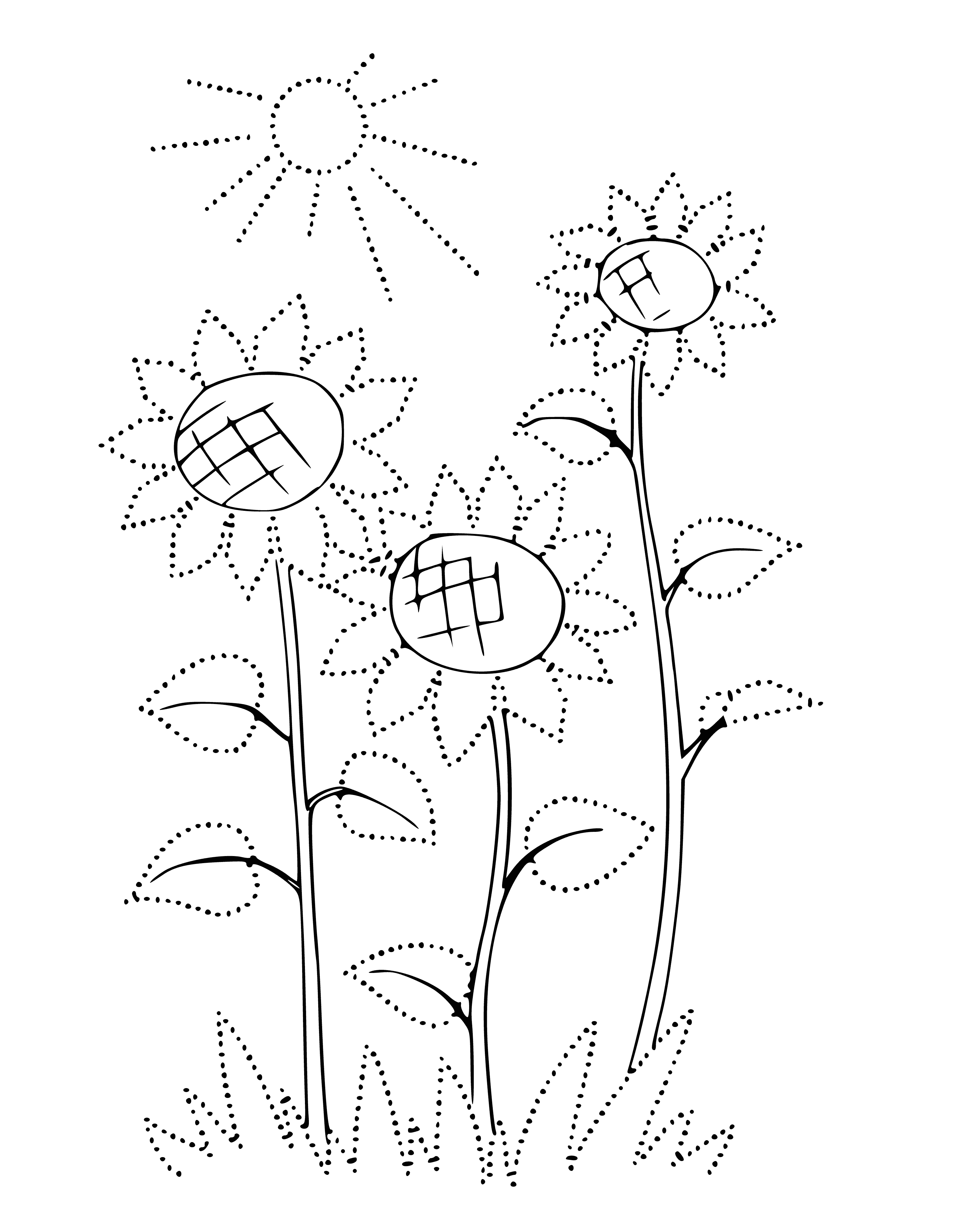 coloring page: Three big sunflowers and a bunch of small ones in a pale blue background - perfect Summer coloring page! #Sunflowers #ColoringPages