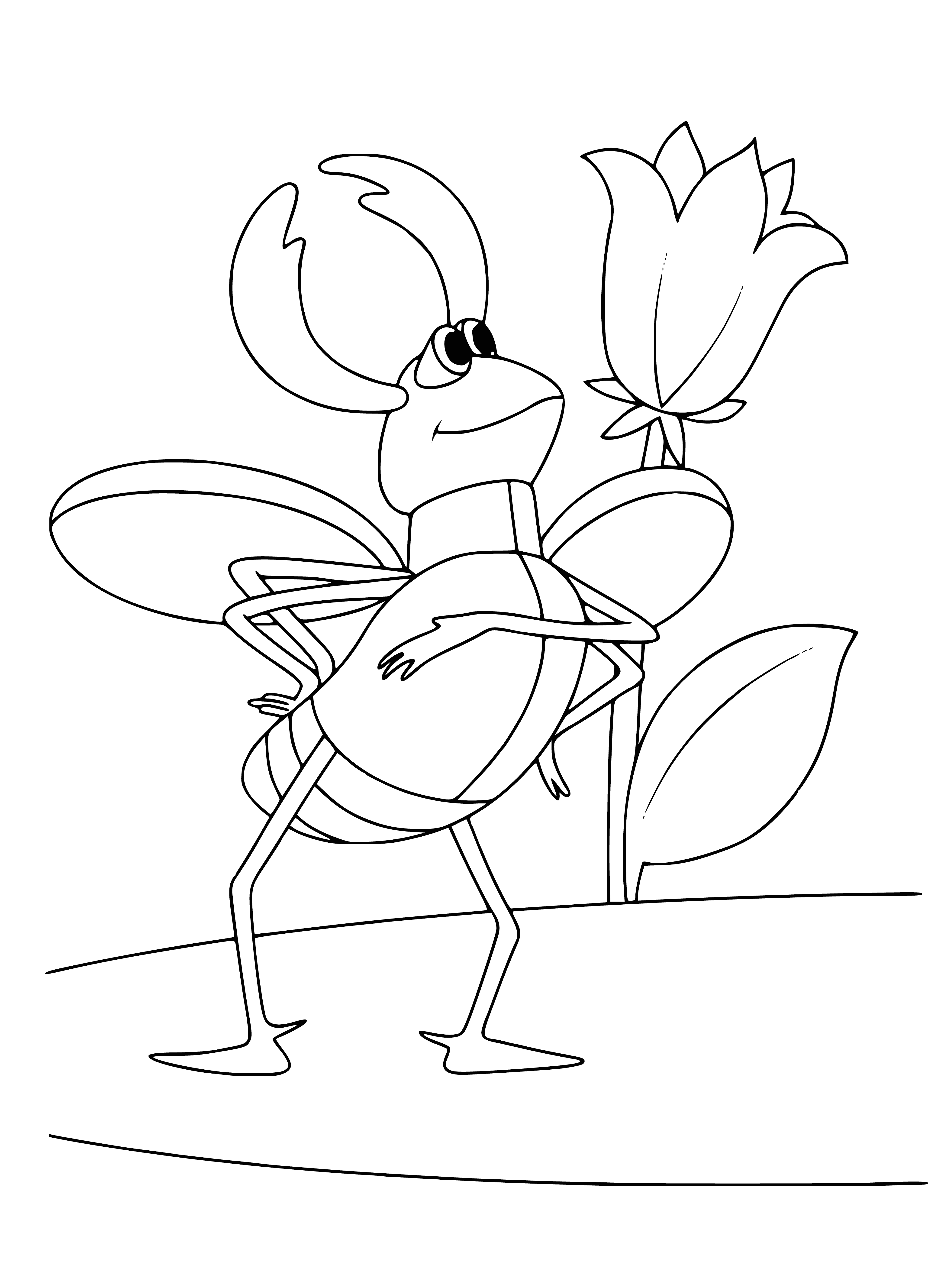 coloring page: Tiny Thumbelina chafer beetle is one of the smallest in the world, brown with bumps & ridges, 6 spindly legs & long antennae.