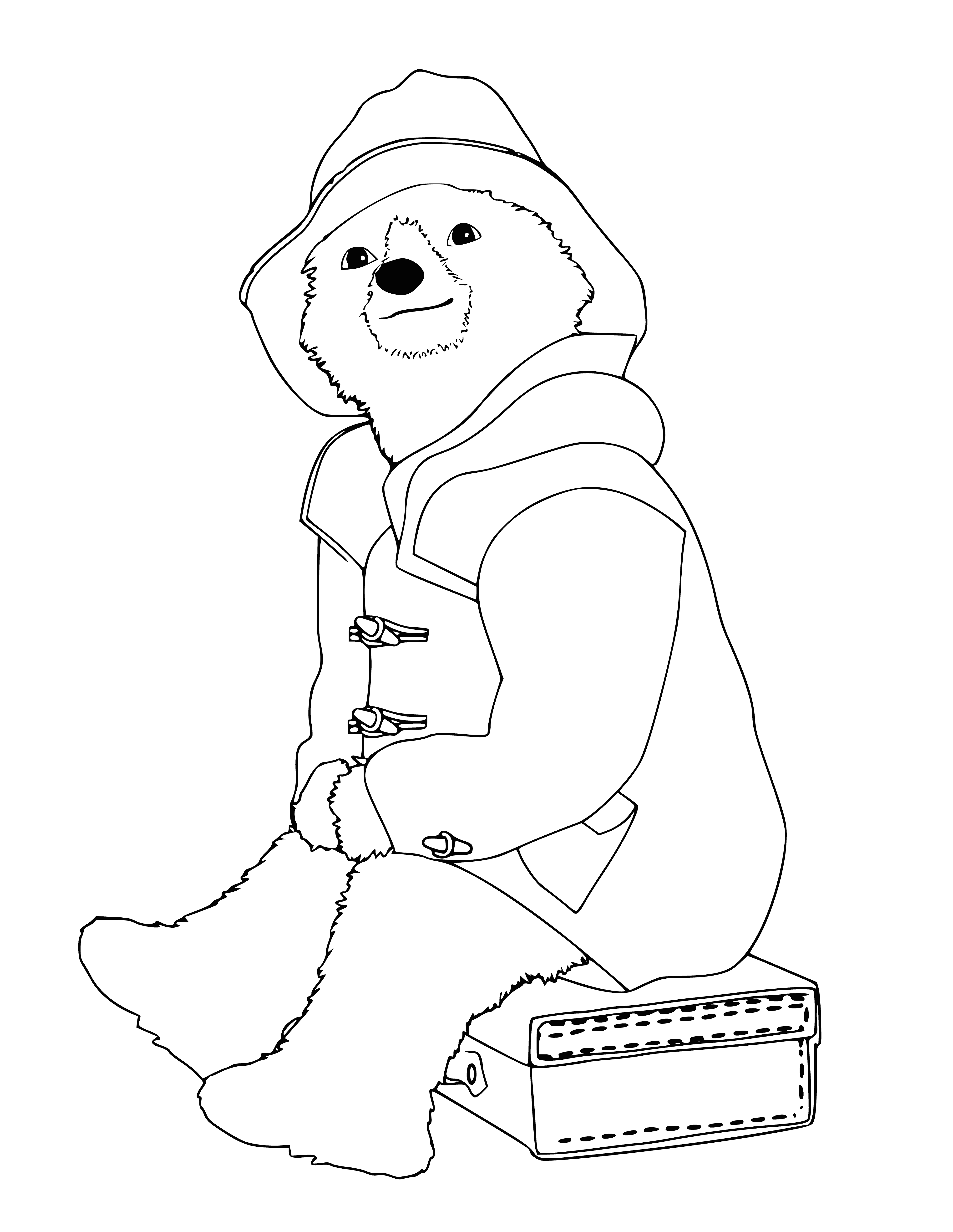 Paddington sits on a suitcase coloring page