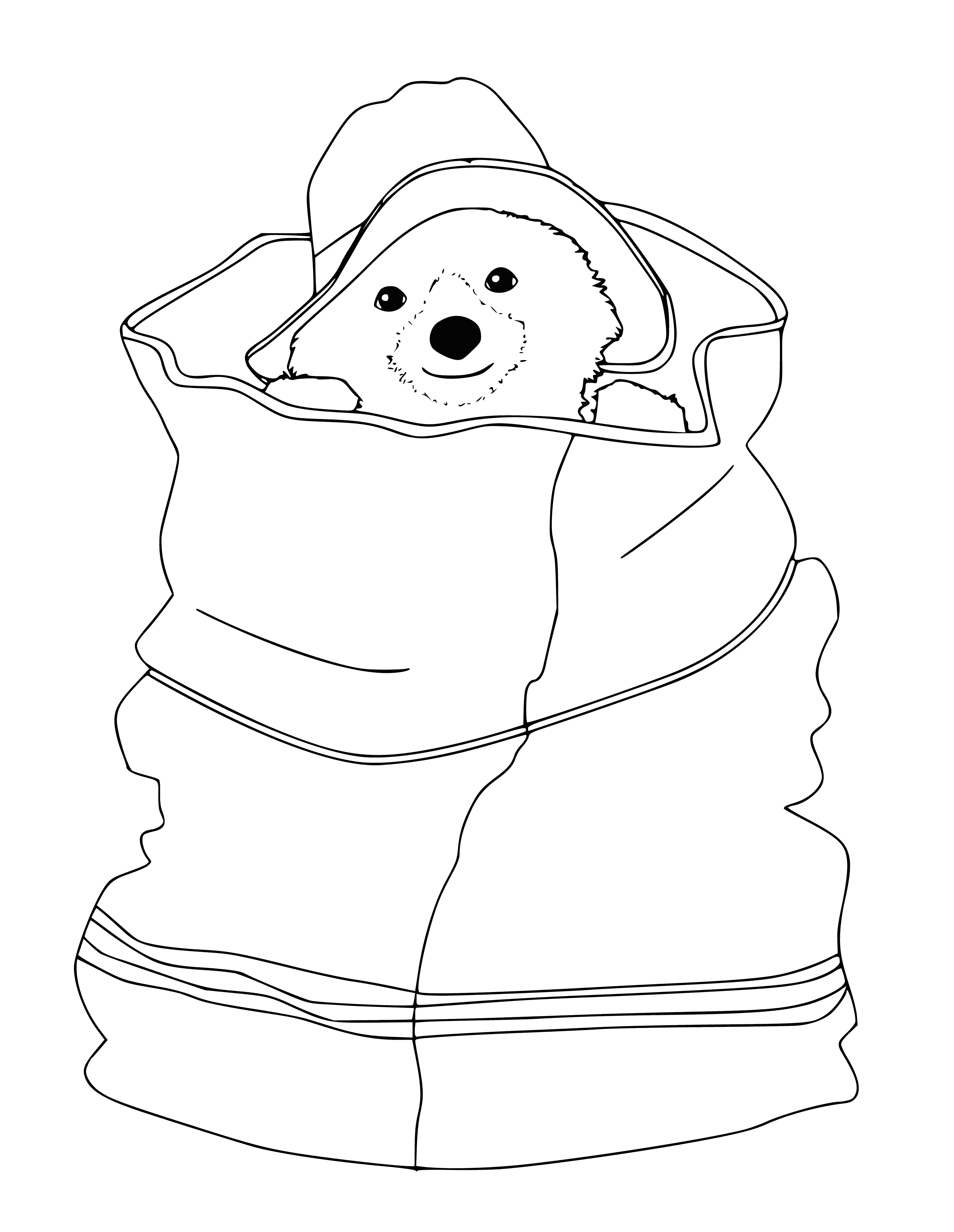 Teddy bear hid in a bag coloring page