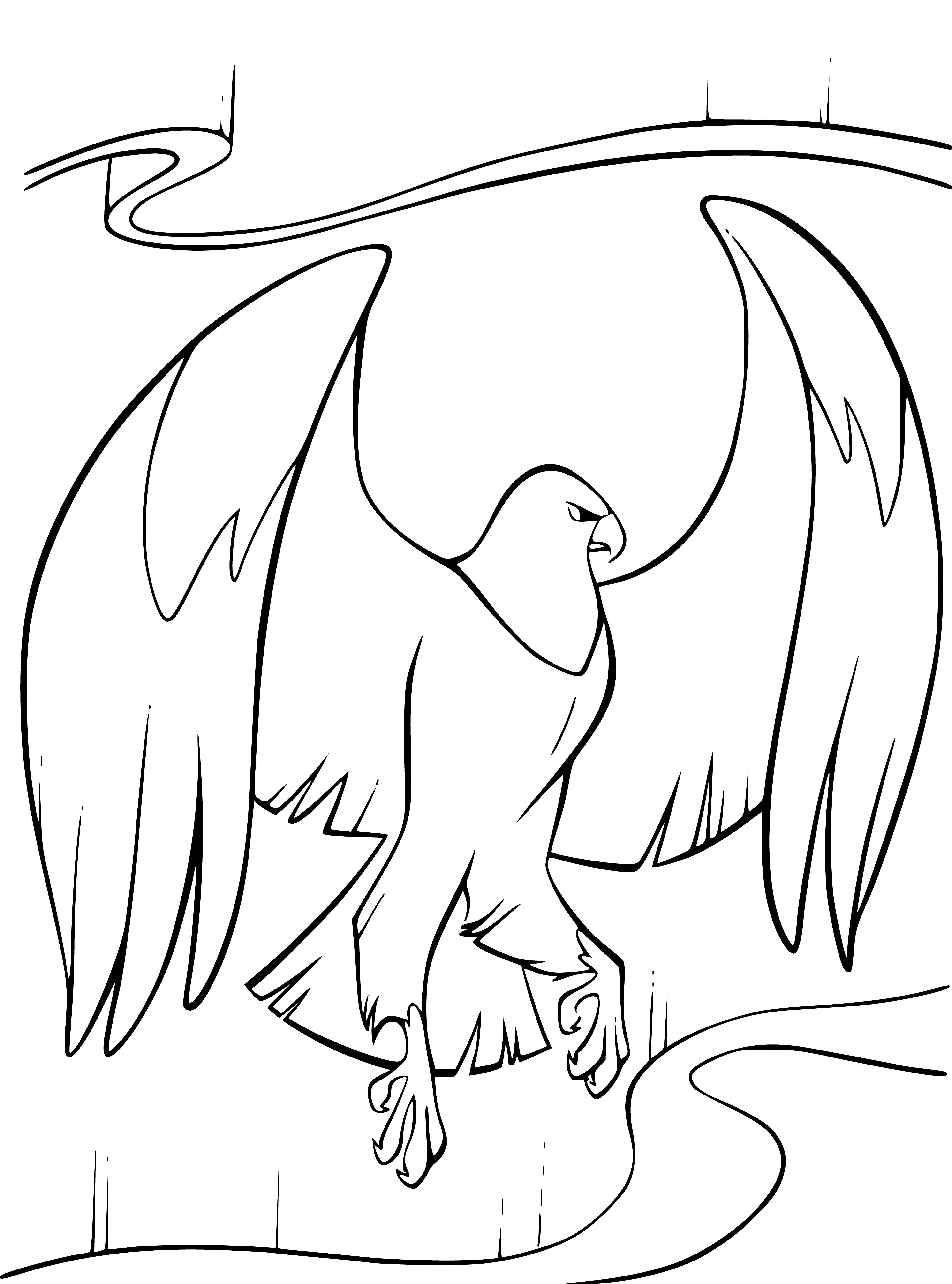 coloring page: Brother bear has a white eagle perched on his shoulder, looks up at it calmly. Wings spread, talons dug into fur.