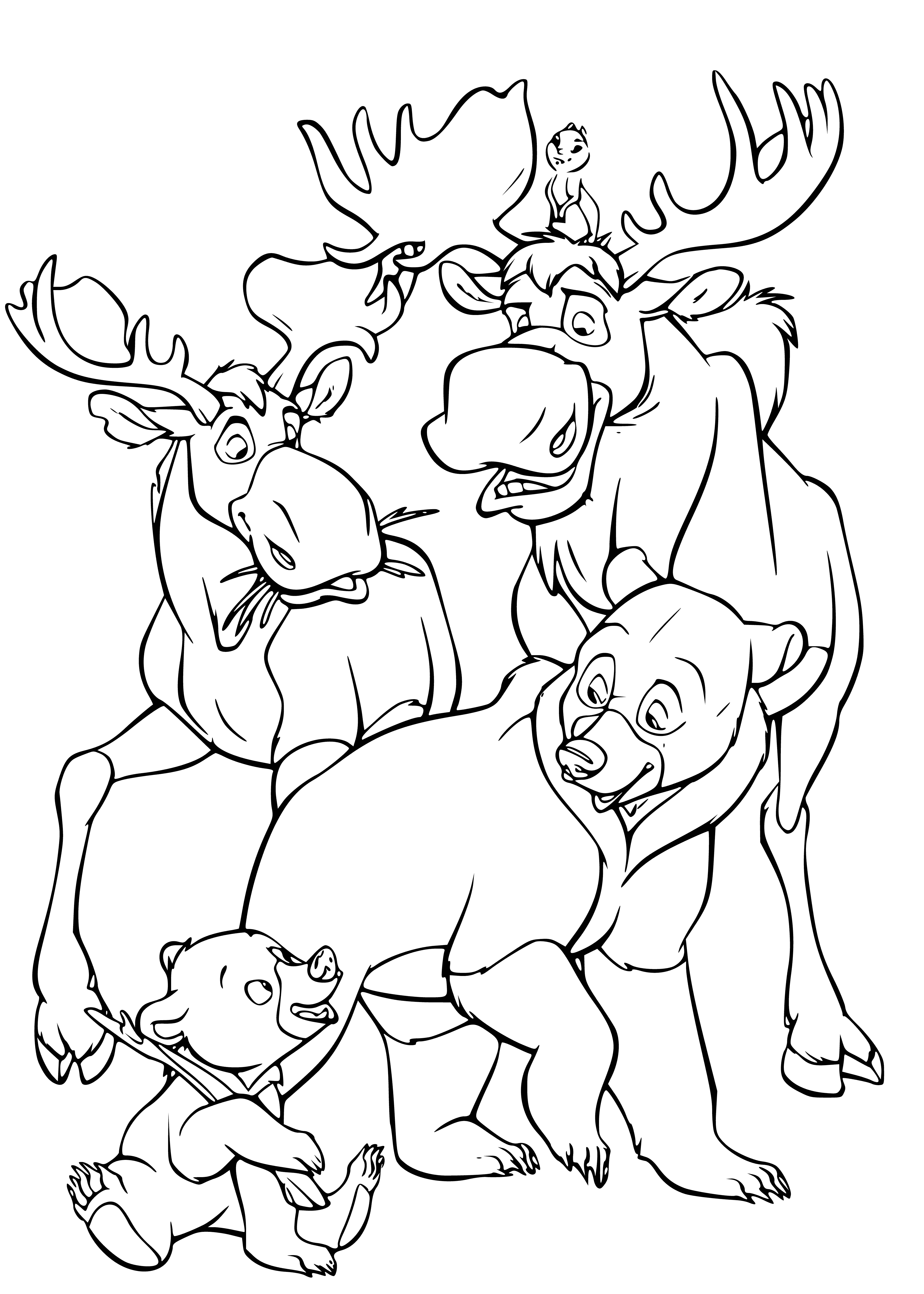 Catch and bears coloring page