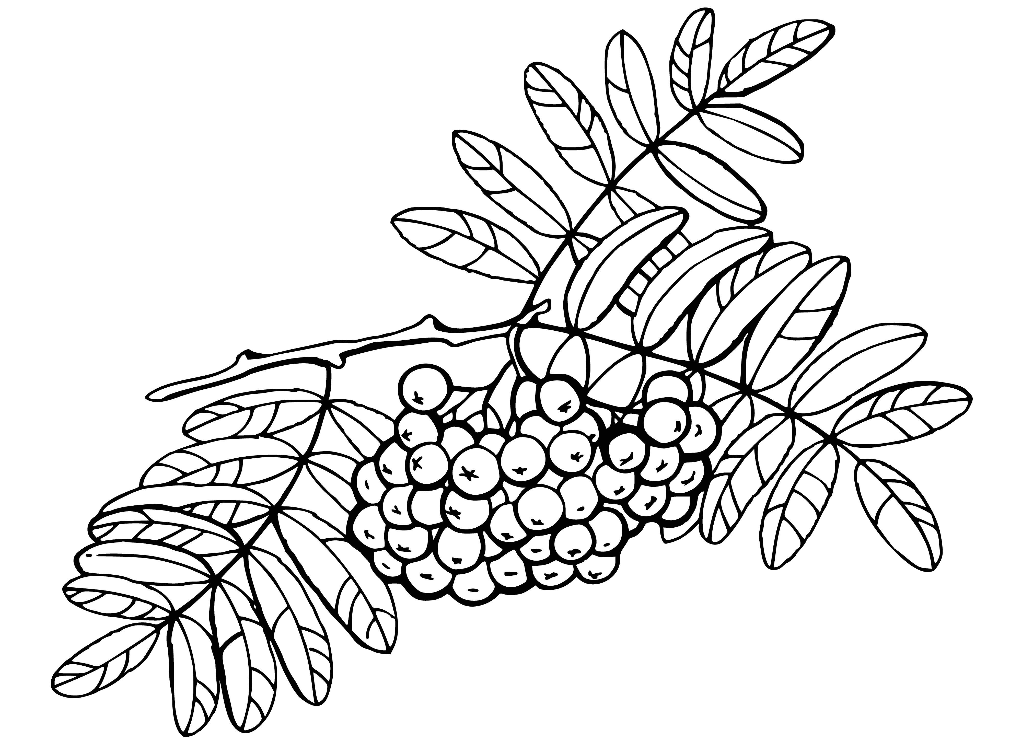 coloring page: A wooden brush with soft, curved bristles and a light brown, textured handle grip.
