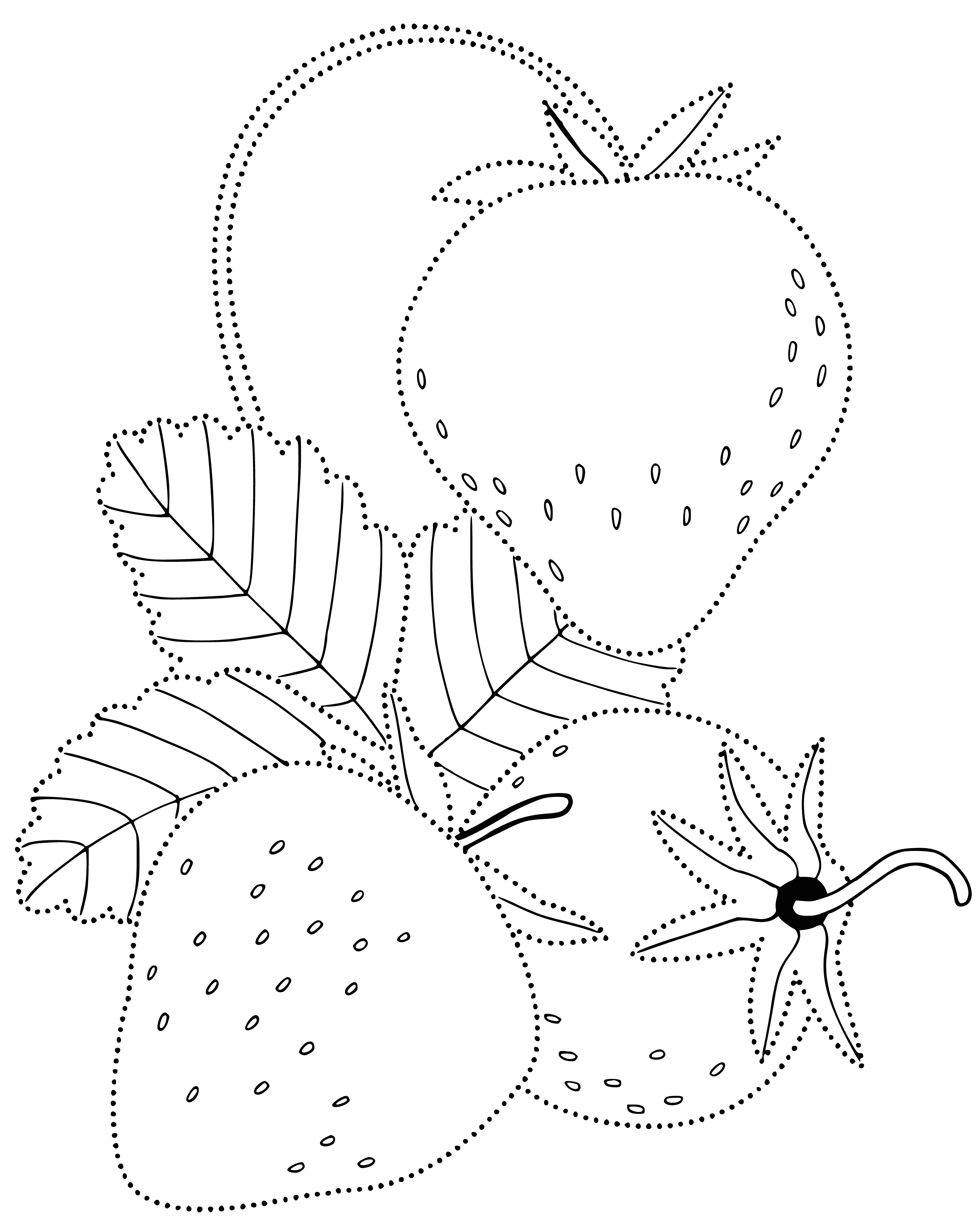 coloring page: Small, red Aullia berries grow on a vine; each with a yellow seed inside. Green leaves surround them. #berries