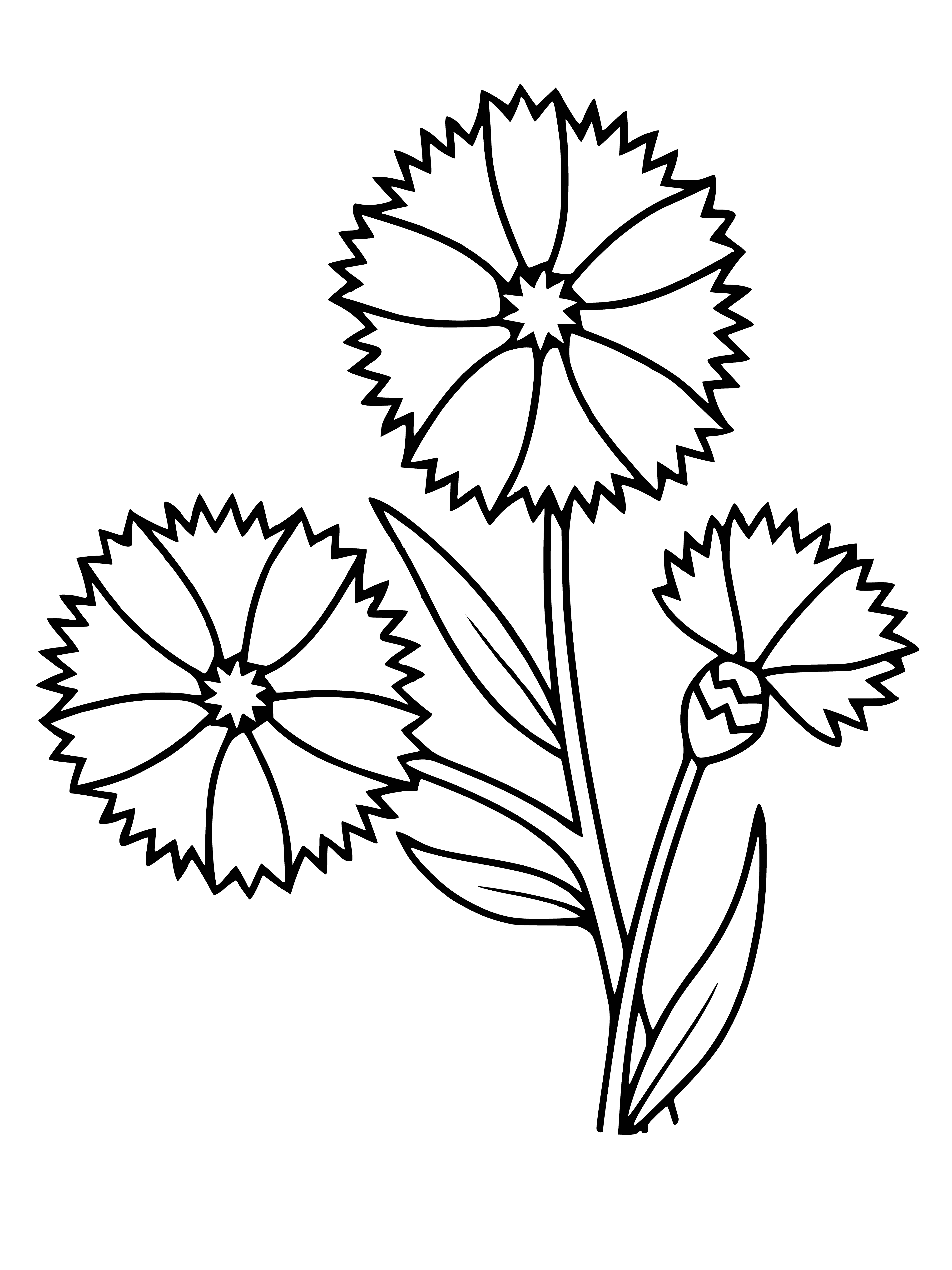 coloring page: Bunches of ruffled cornflowers in various shades of blue, from just beginning to full bloom, with yellow centers & long green leaves.