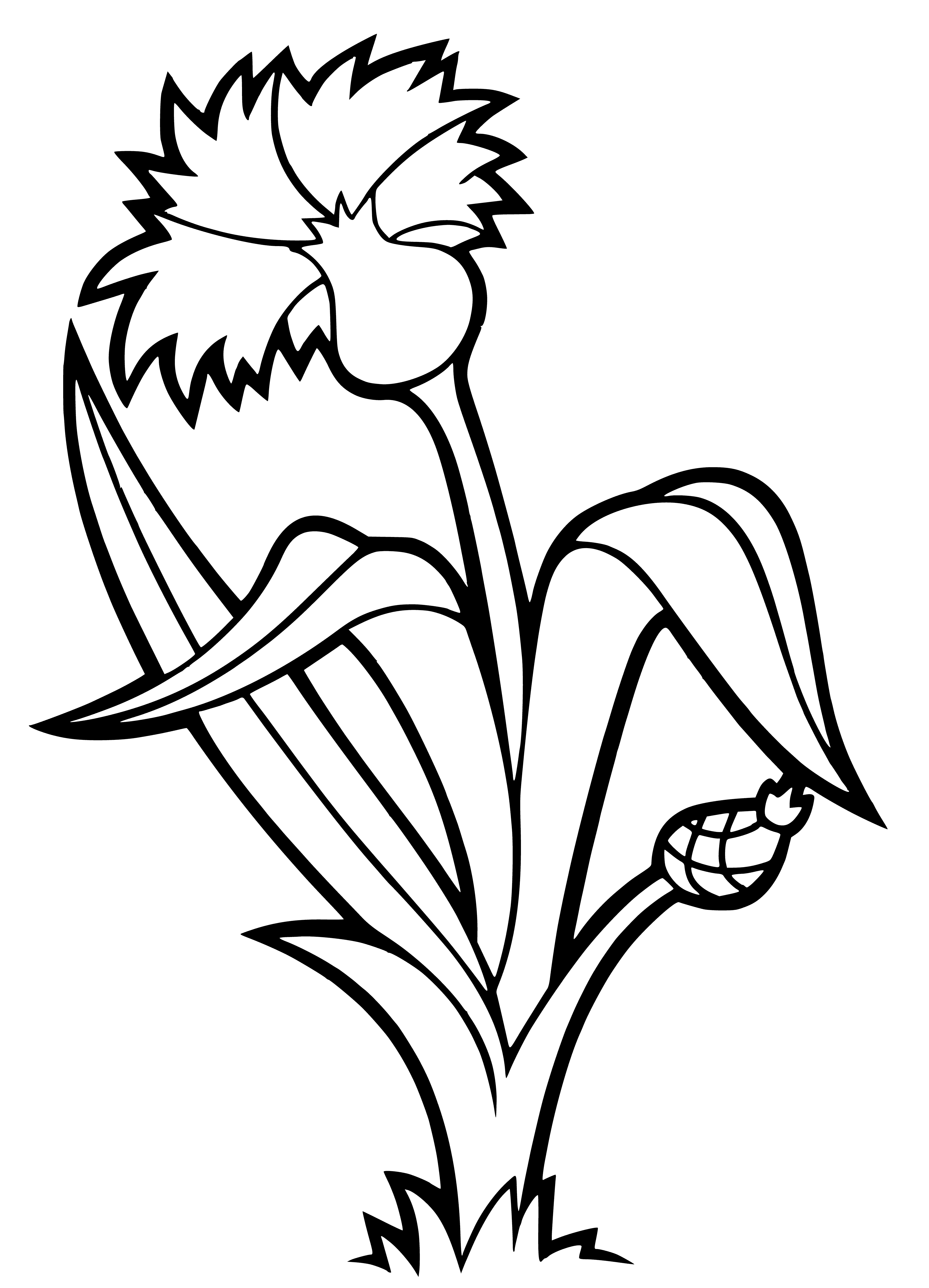 Cornflower coloring page