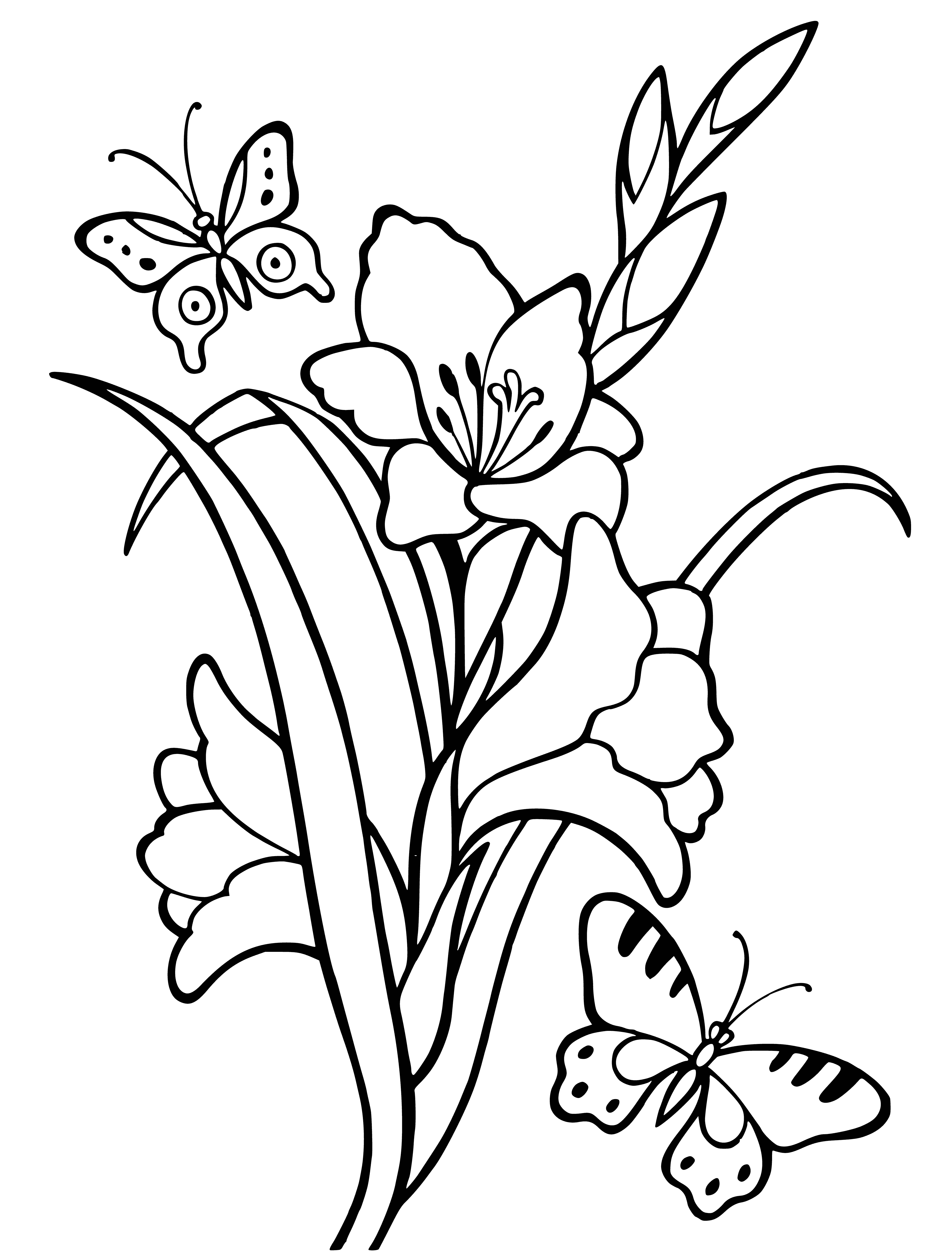 coloring page: Vibrant purple flowers with white centers and 6 light green leaves are atop a thick, green stem.