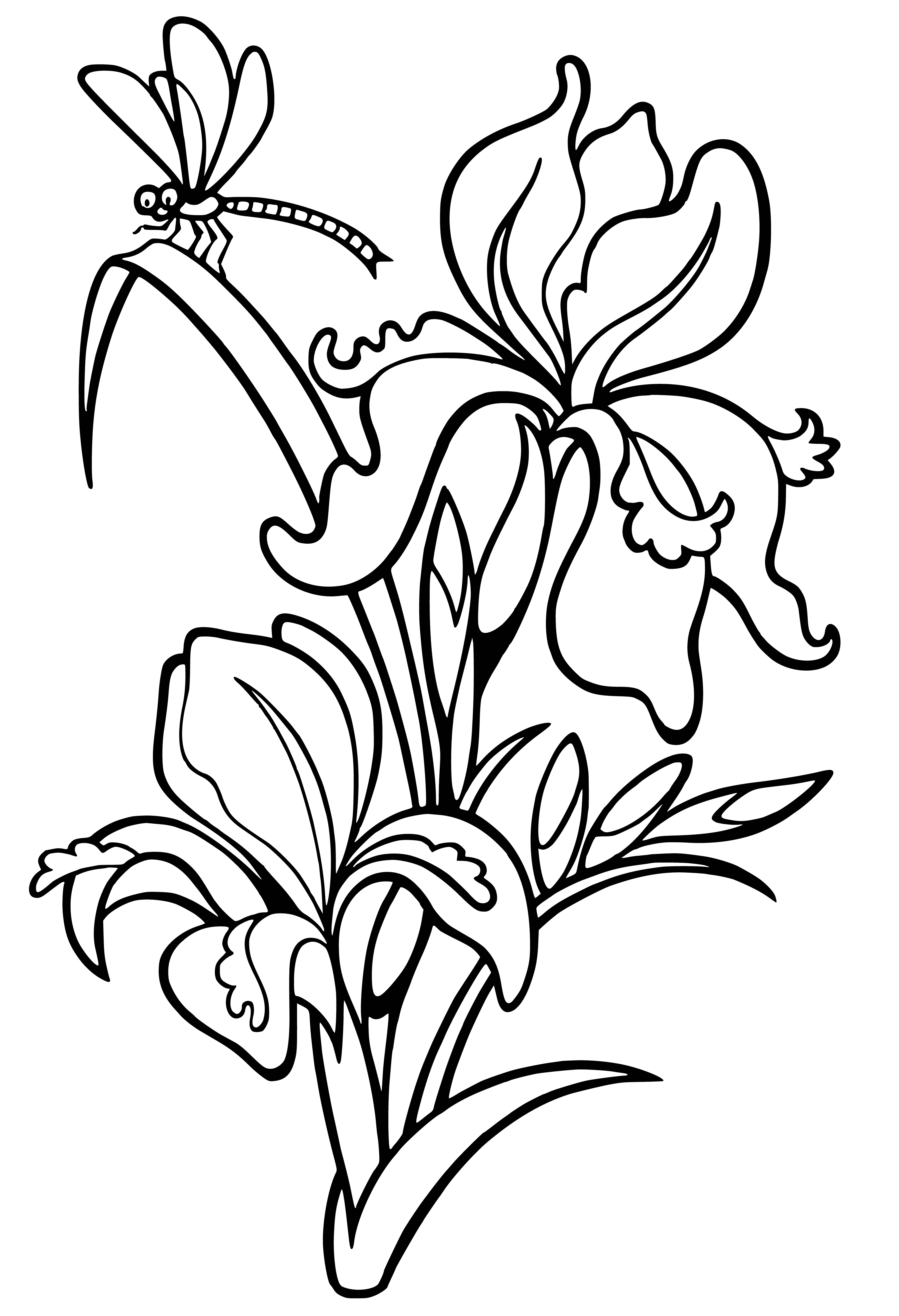 coloring page: Tall plant with pointy leaves, purple/yellow cone-shaped flower; center yellow, furry.