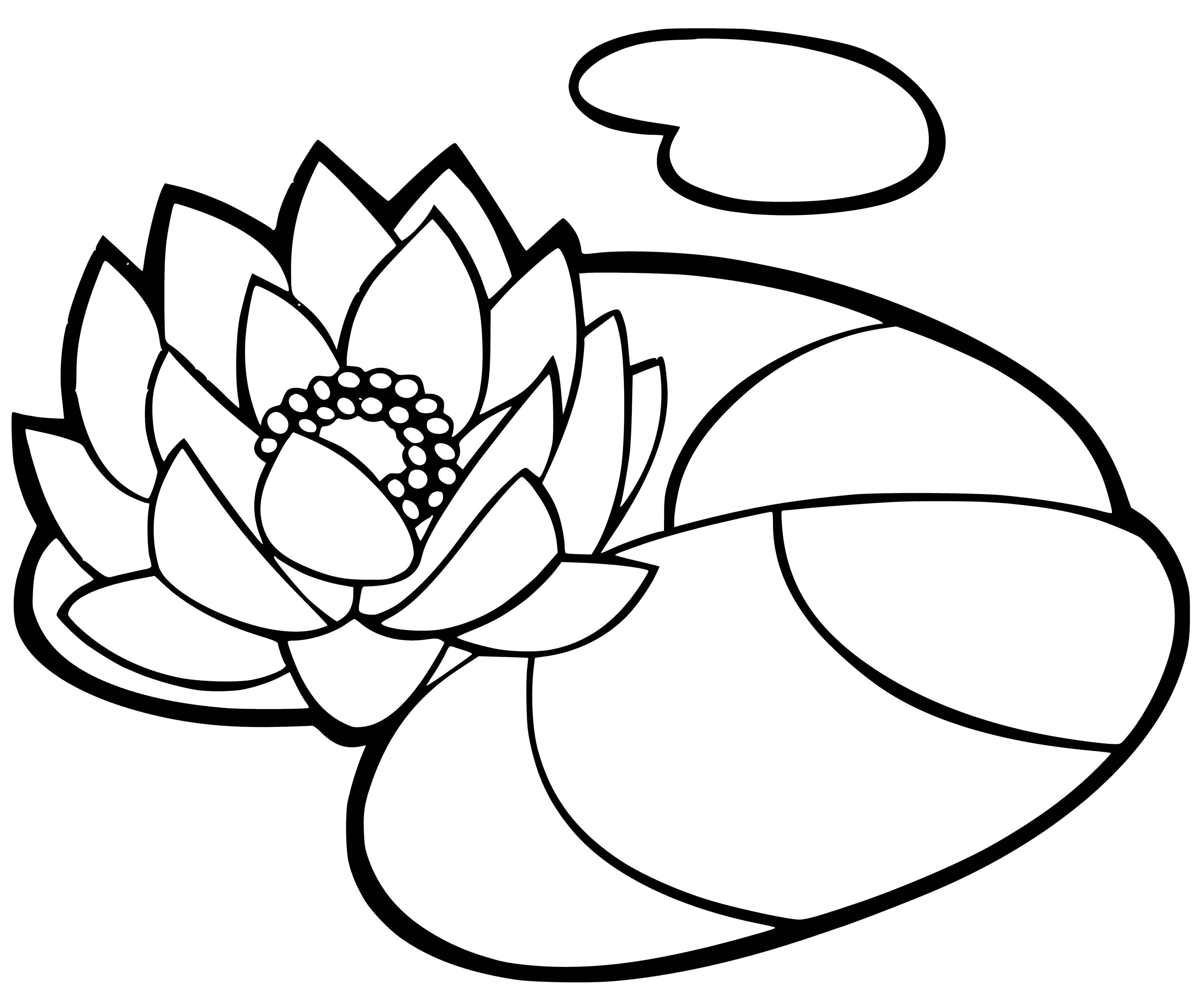 coloring page: Water lily in blue water: white beauty amid serenity.