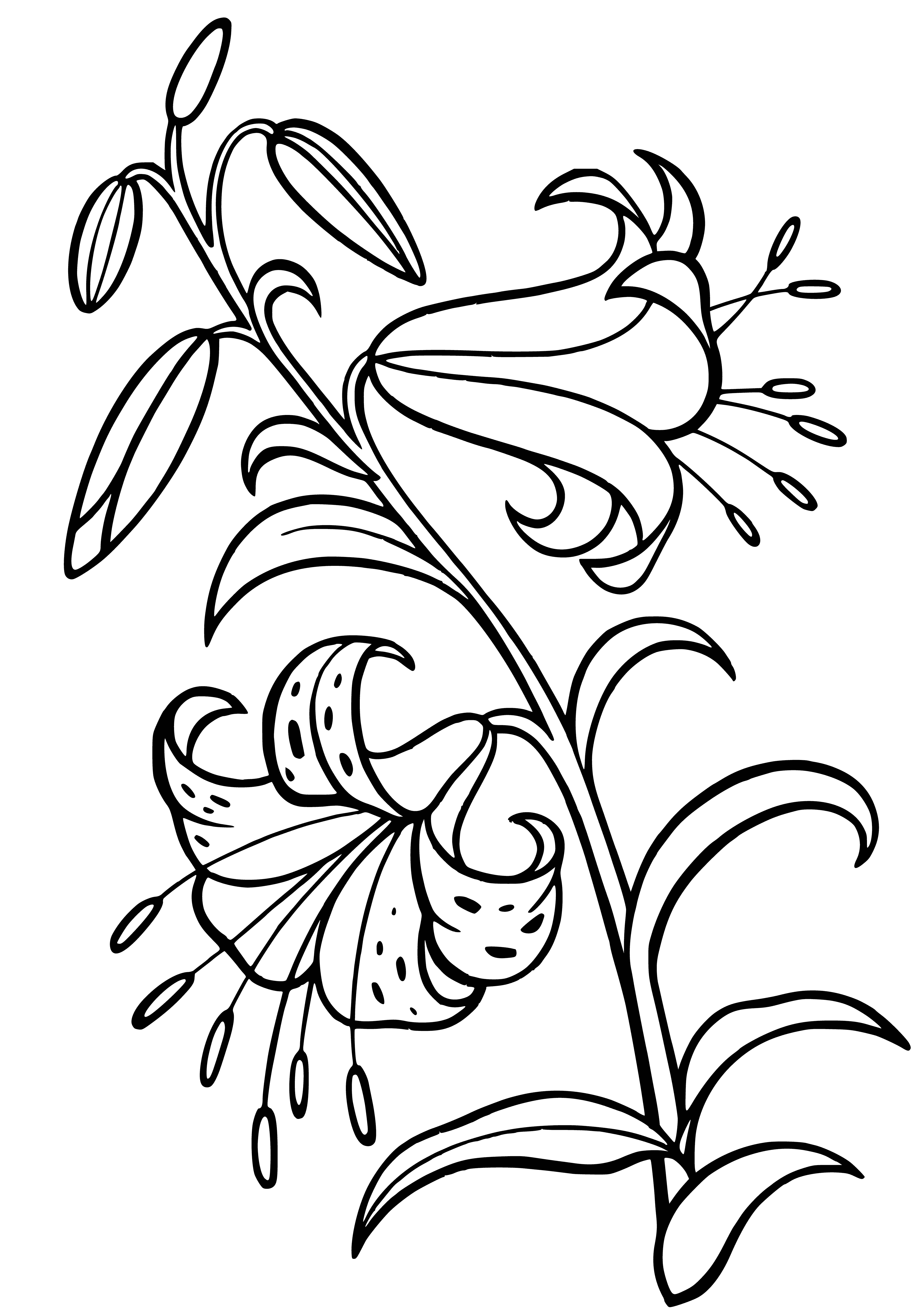coloring page: Tall, thin stem w/ light green leaves & white flower w/ yellow center & light purple petal outlines.