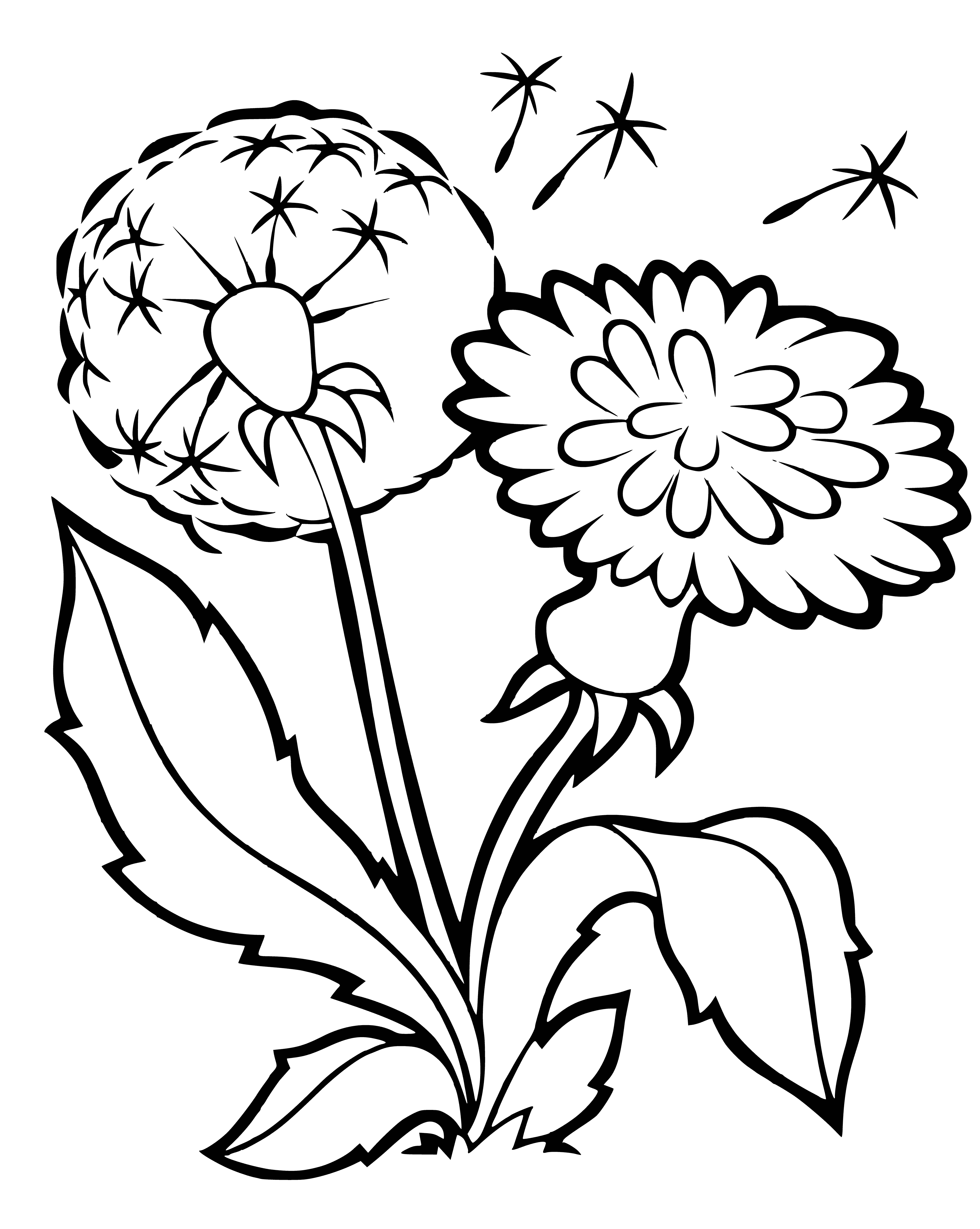 coloring page: Child can color a dandelion with yellow flowers for a weed found in many places.