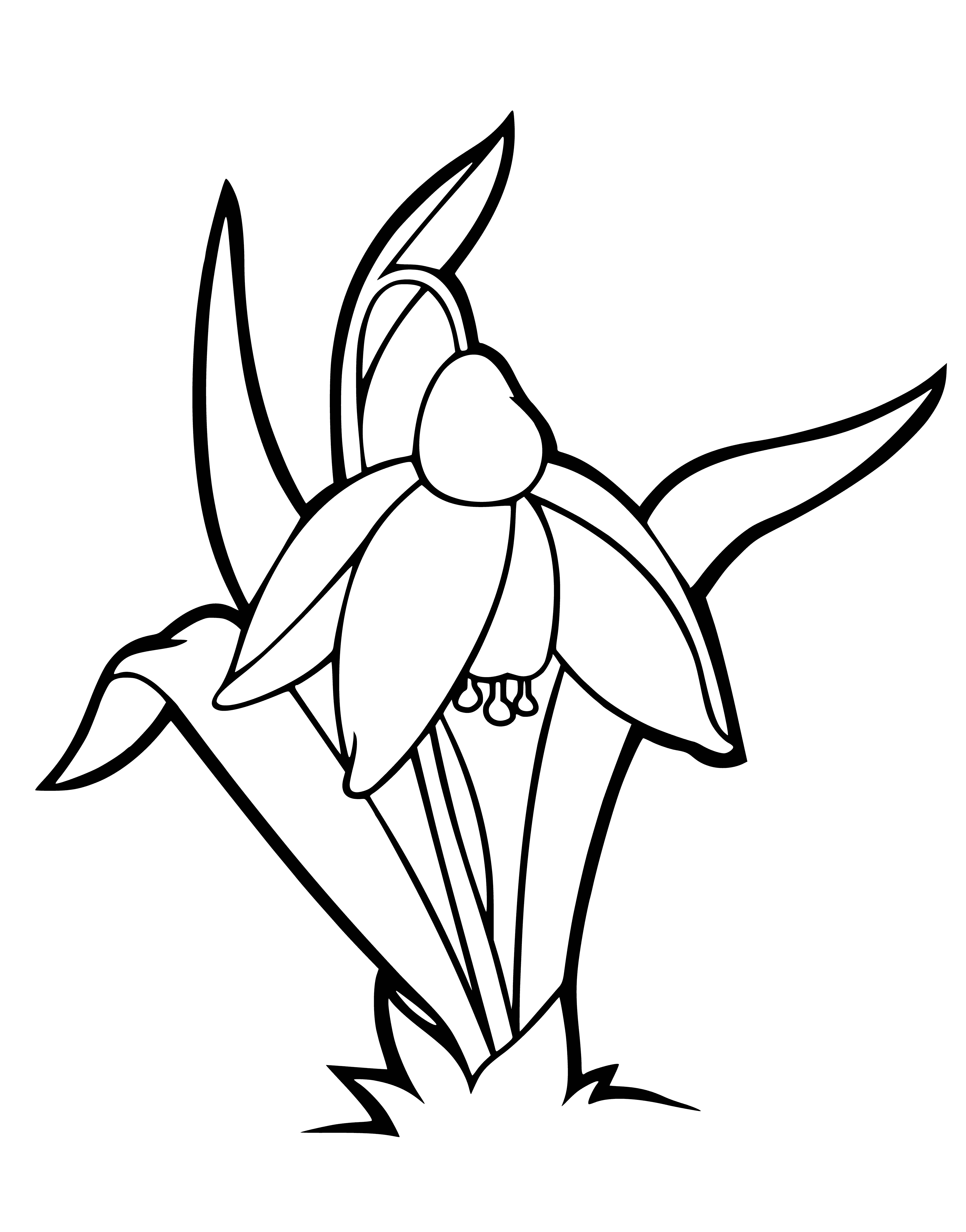 coloring page: Beautiful snowdrop with a long stem and 6 white petals with yellow center - isn't it pretty? #Nature #Flowers