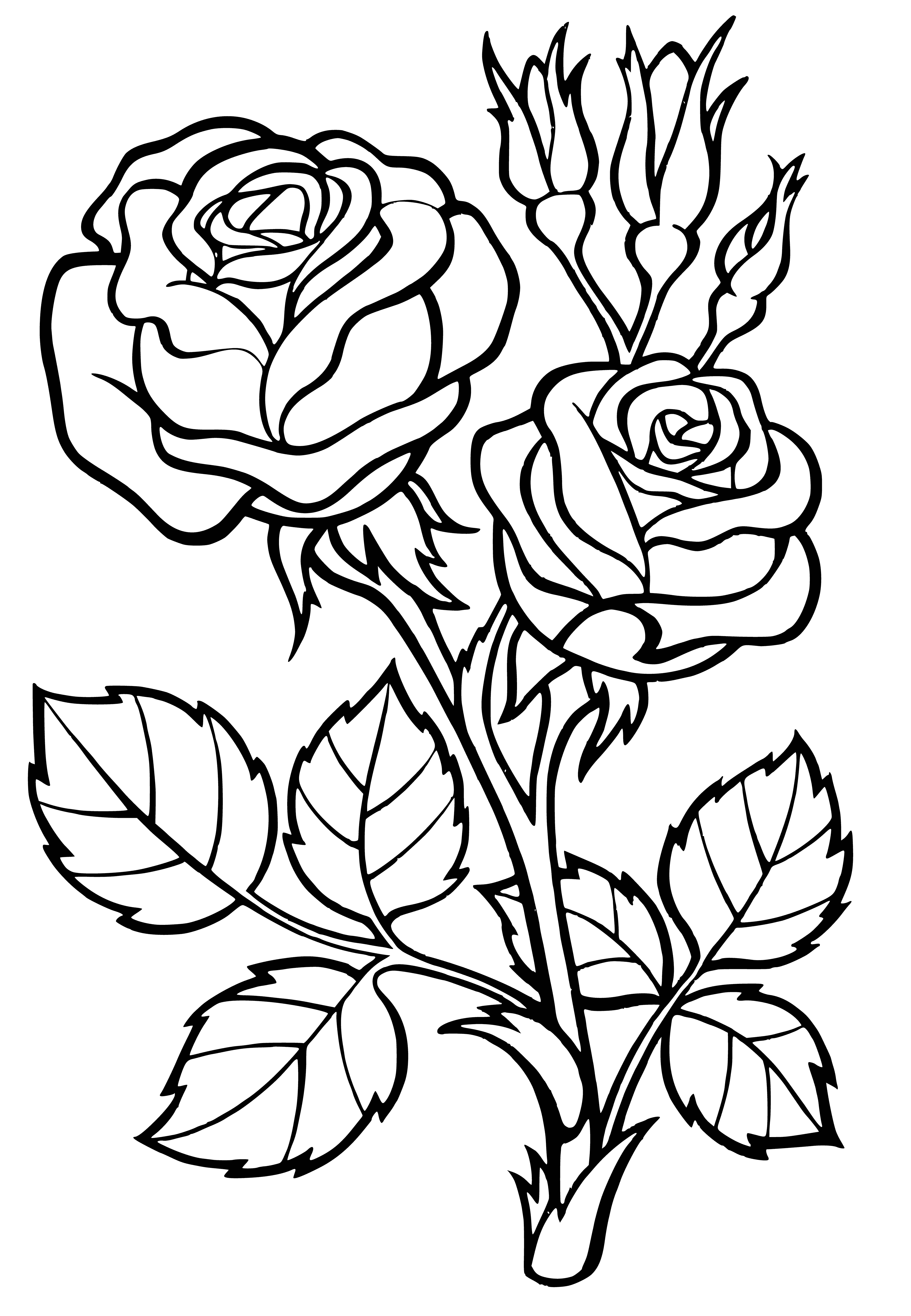 coloring page: Coloring page of red rose in vase with green stem & thorns.