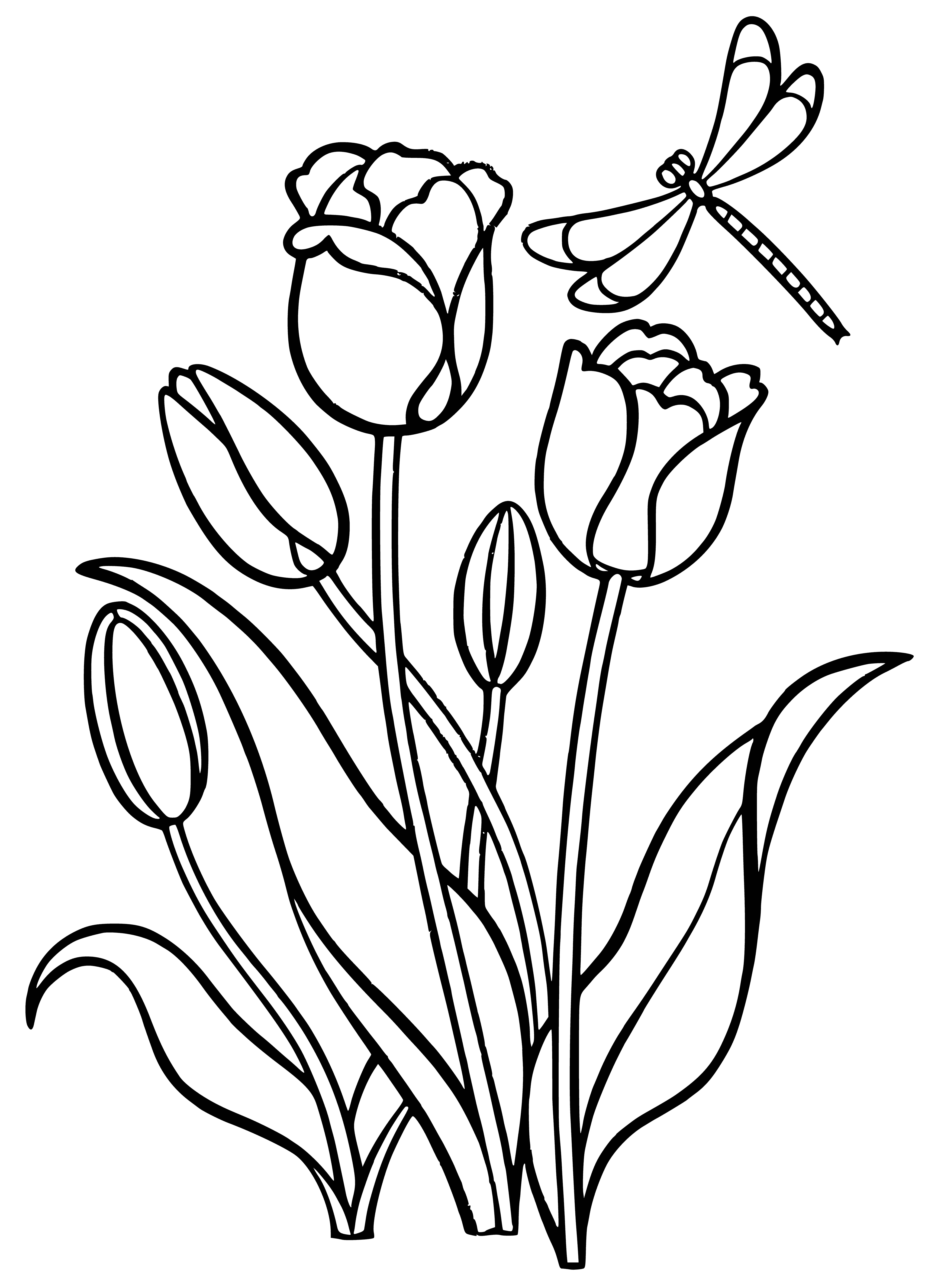 coloring page: 7 tulips (3 pink, 2 yellow, 2 purple) in a vase on a table in a room with a window.