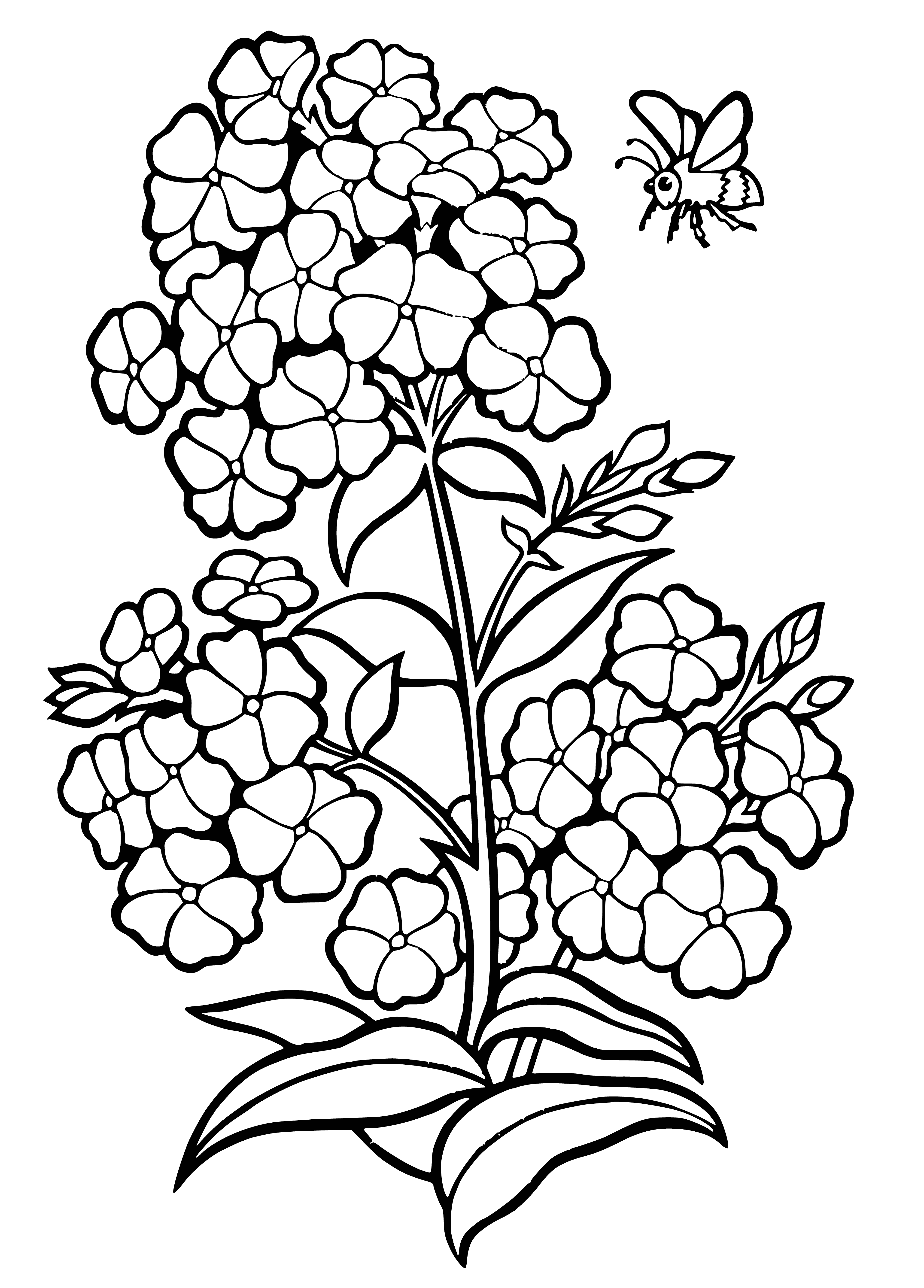 coloring page: Field of deep purple Phlox flowers with white centers, growing in a meadow surrounded by green grass and trees.