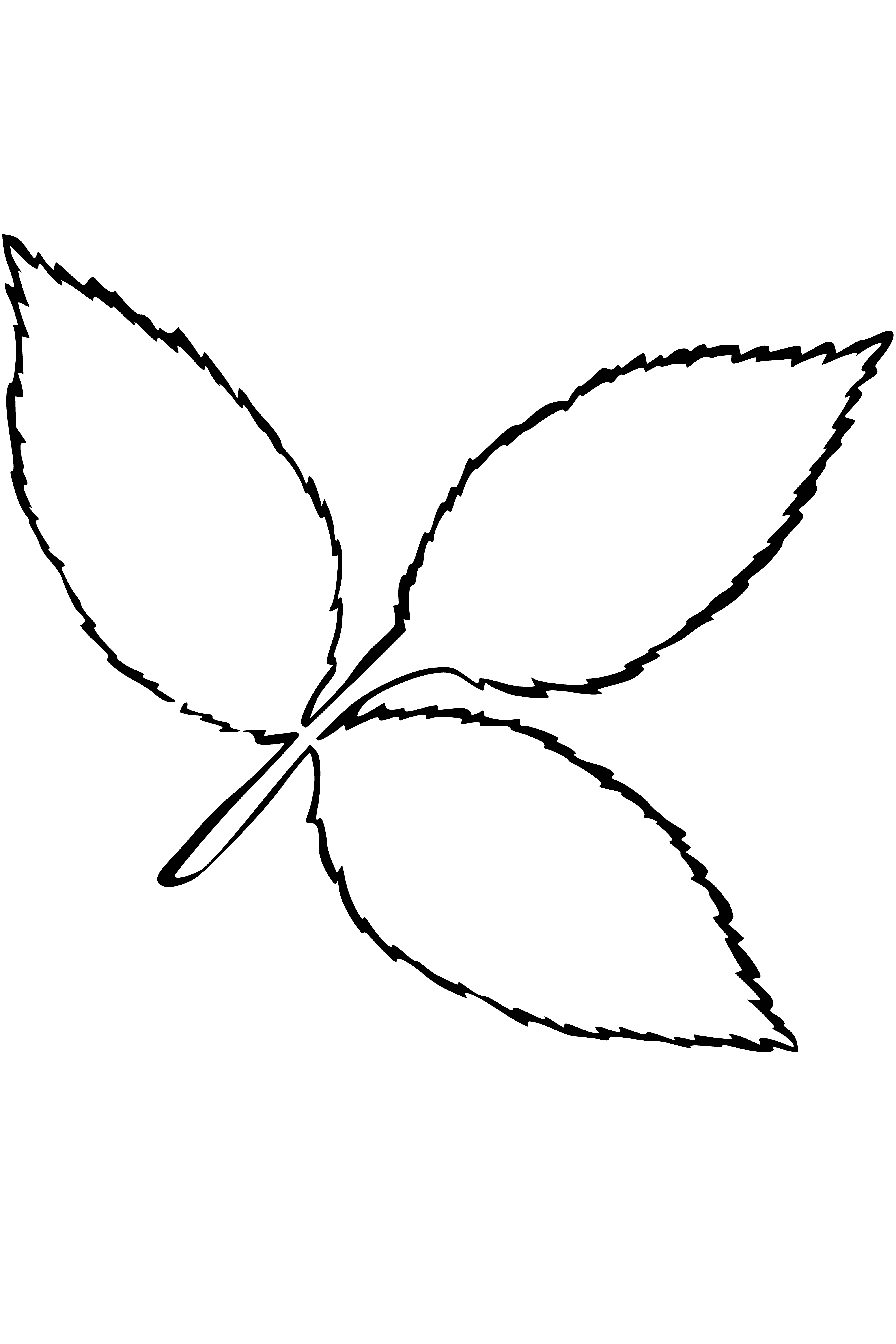 coloring page: I see a green ash leaf with white veins, serrated edges and a small, black, oval-shaped fruit with three bumps.
