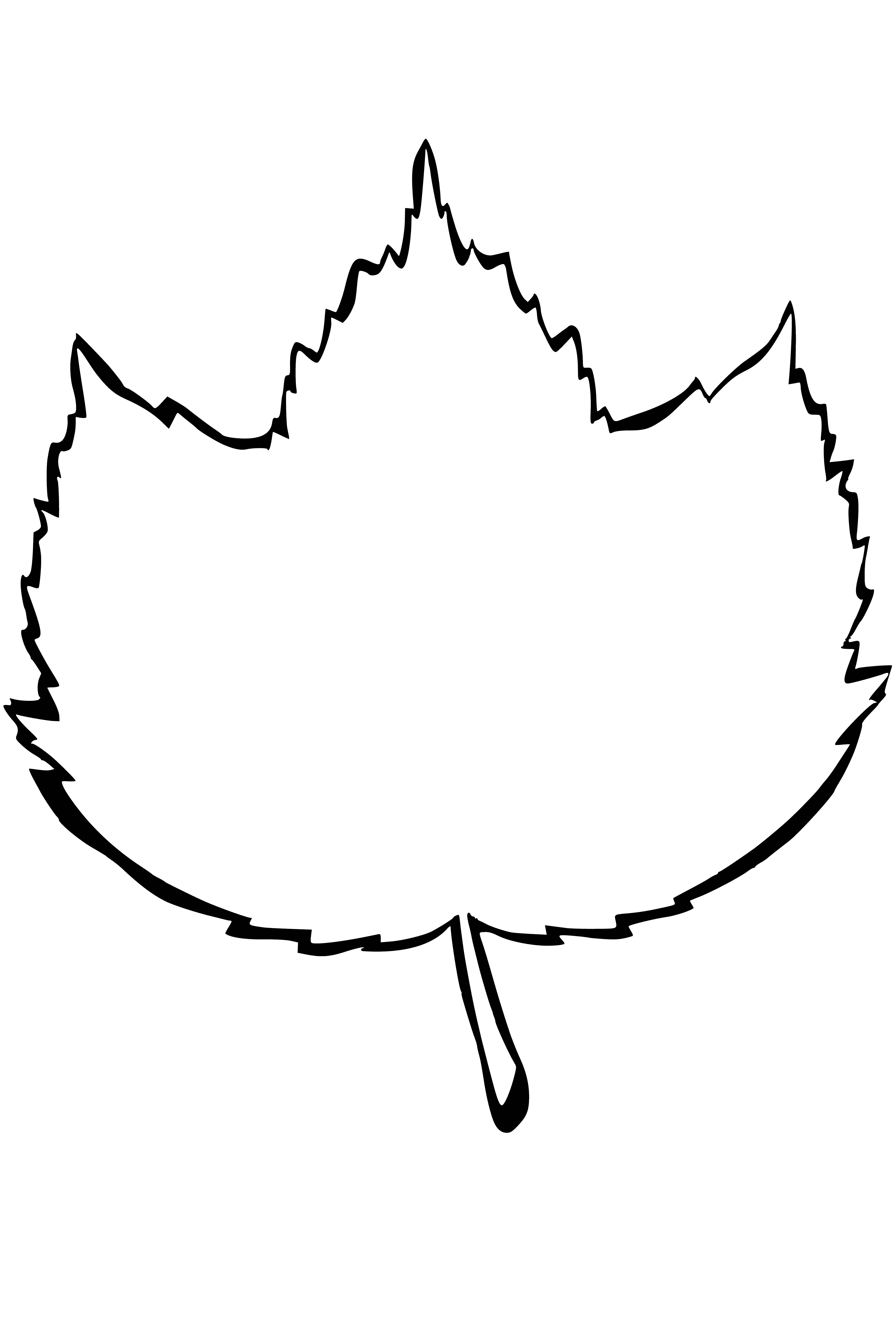 Striped maple coloring page