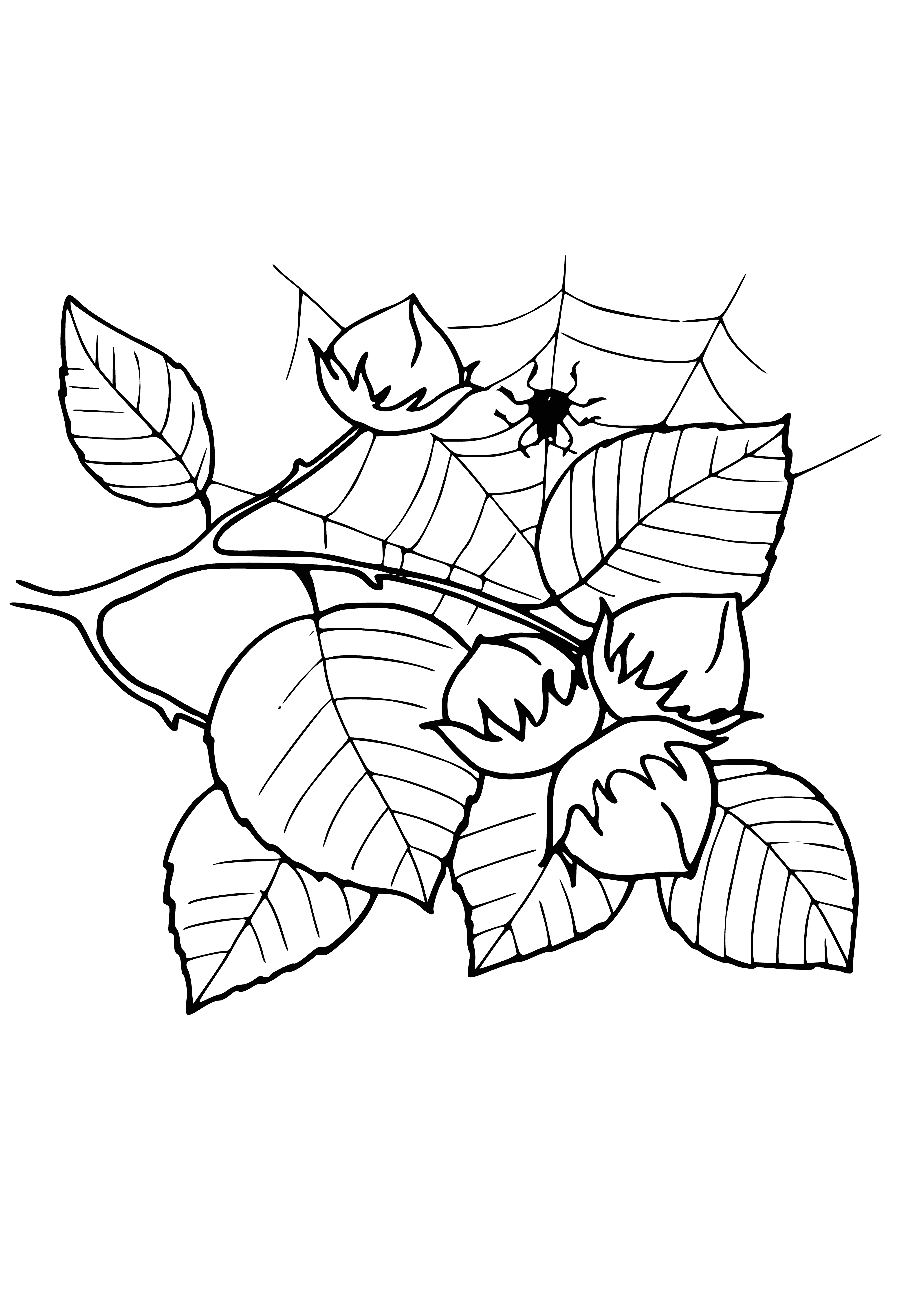 coloring page: Two light brown leaves & a small round dark brown fruit w/ hard shell. Inside is thin white layer & small brown edible seed. #Nature
