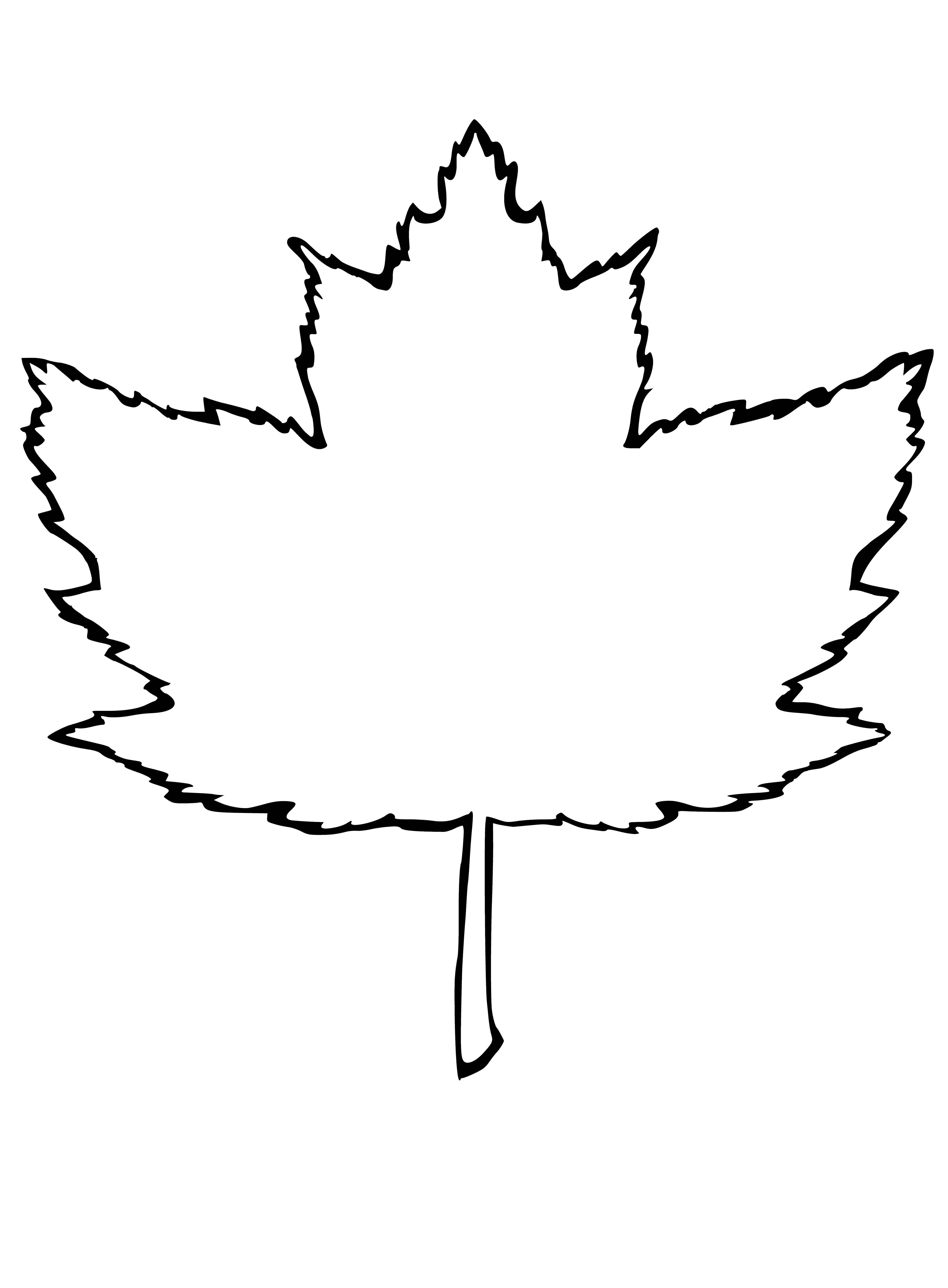 Red maple coloring page