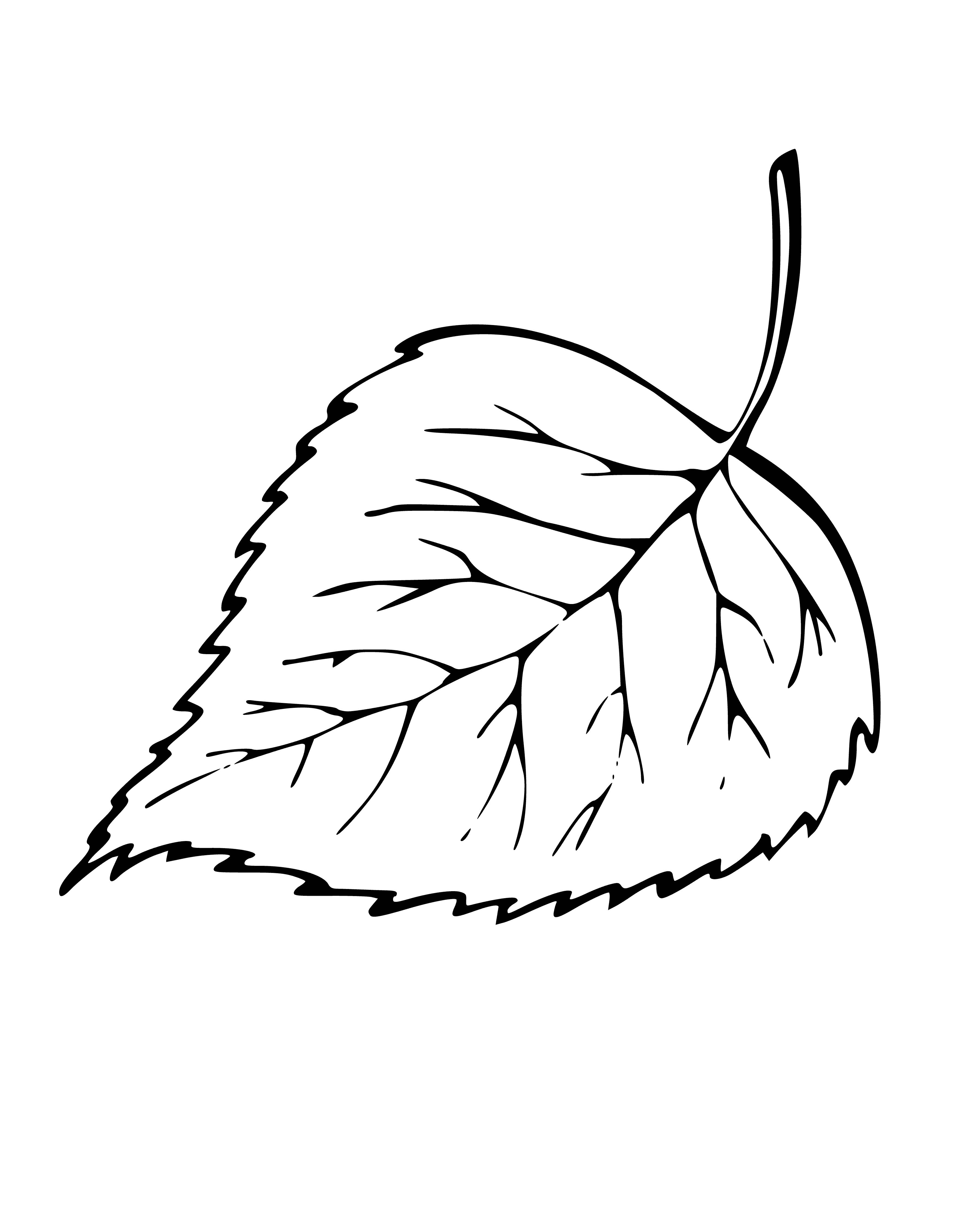 coloring page: Ovate, serrated leaf w/asym tip, bright green top, silver-white veins, pale green bottom, long petiole w/small brown stipule, small stem-like structure to stipule, small brown bud at base. No fruits or flowers.