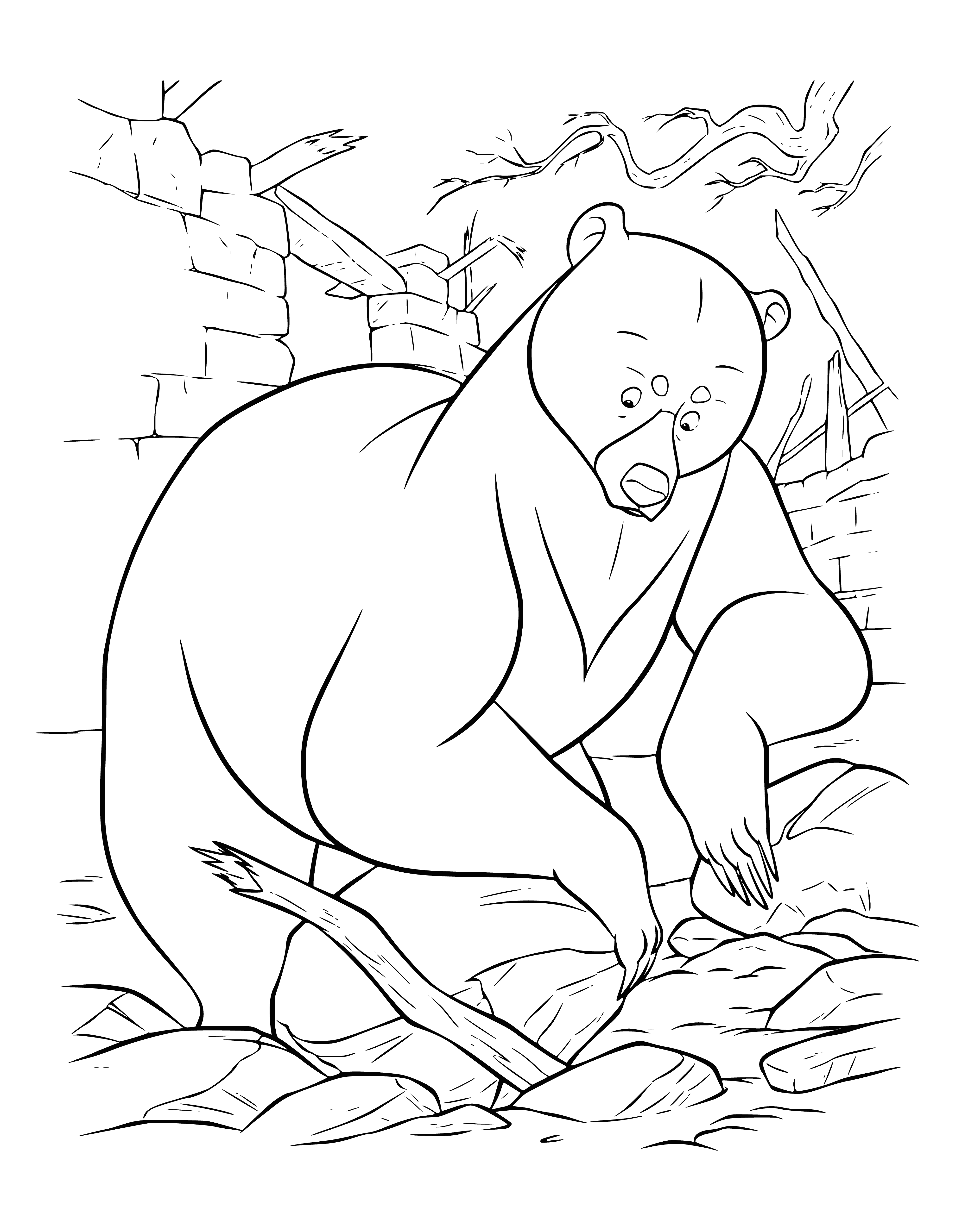 coloring page: Bear raking stones with paw.
