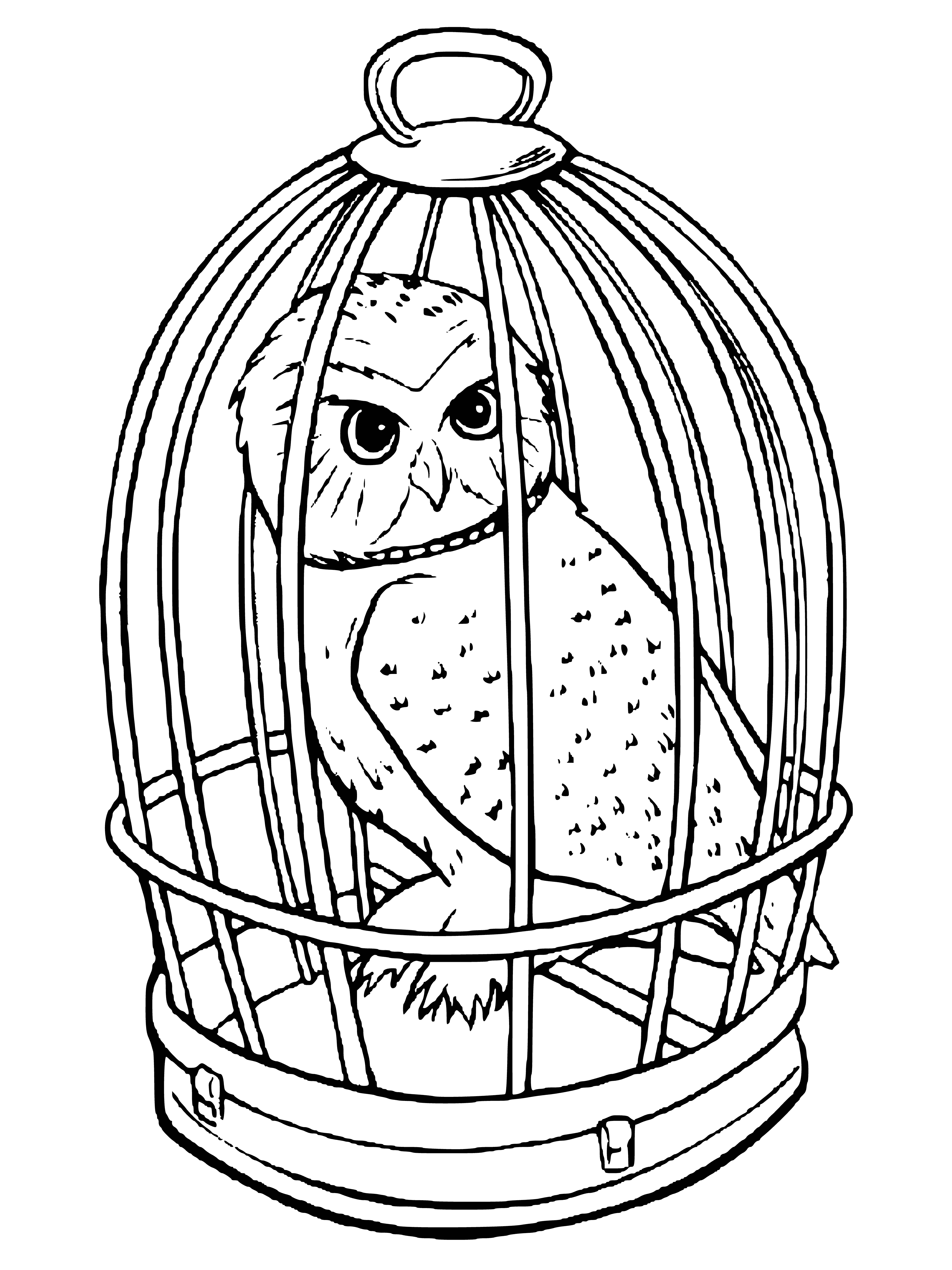 coloring page: Two owls spread their wings in a metal cage, a brown one perched above a white one.
