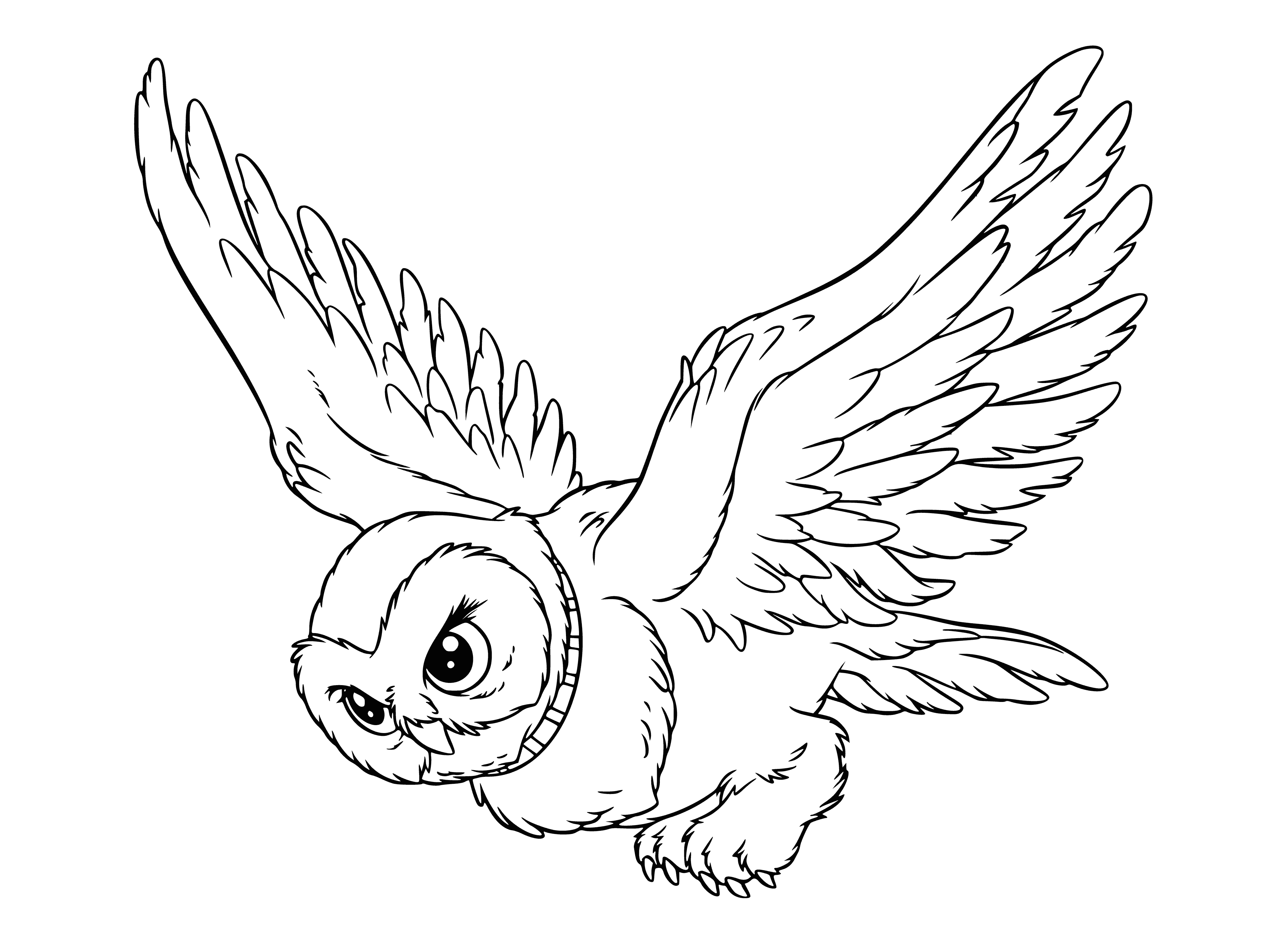 Owl Buckle coloring page