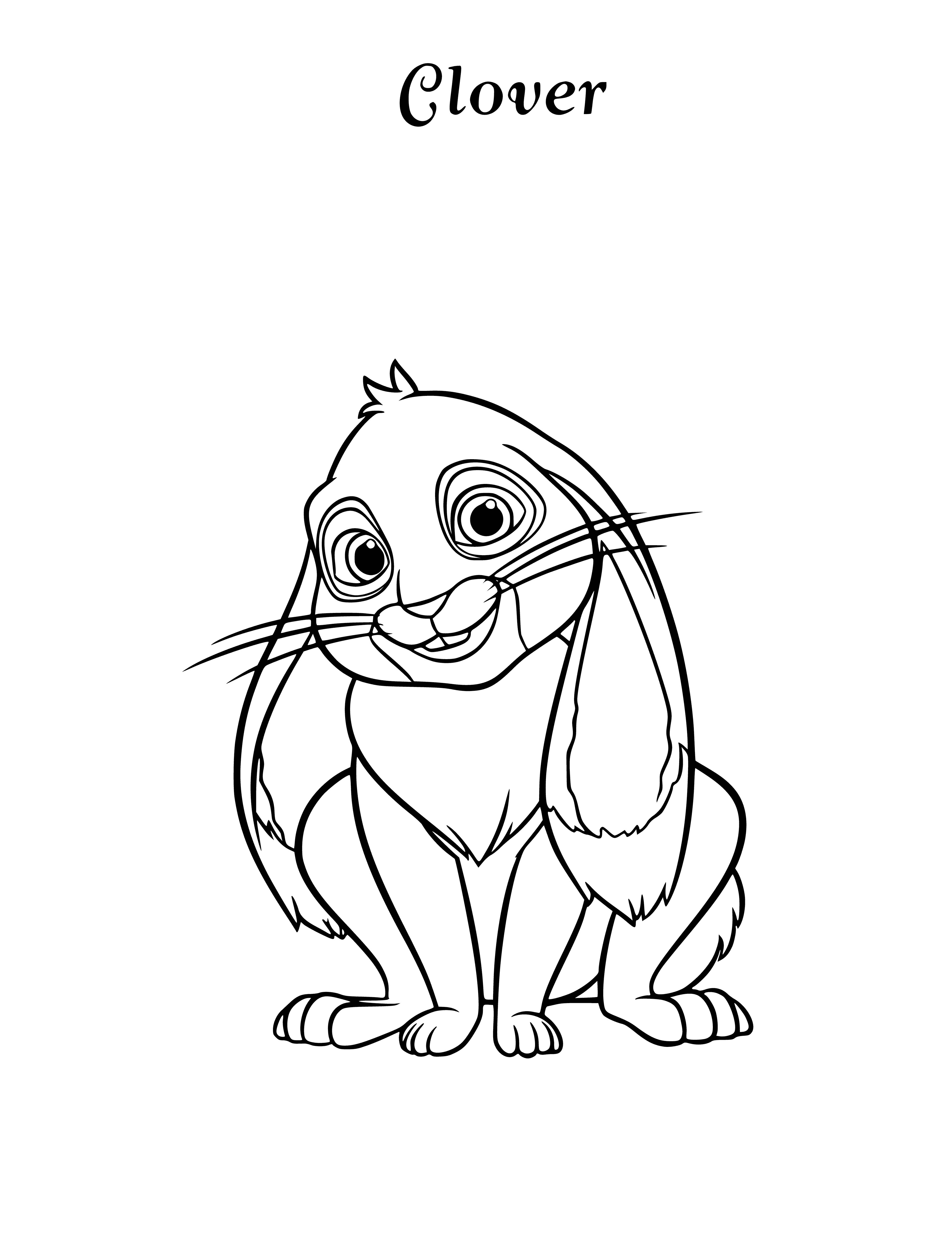 Rabbit Clover coloring page