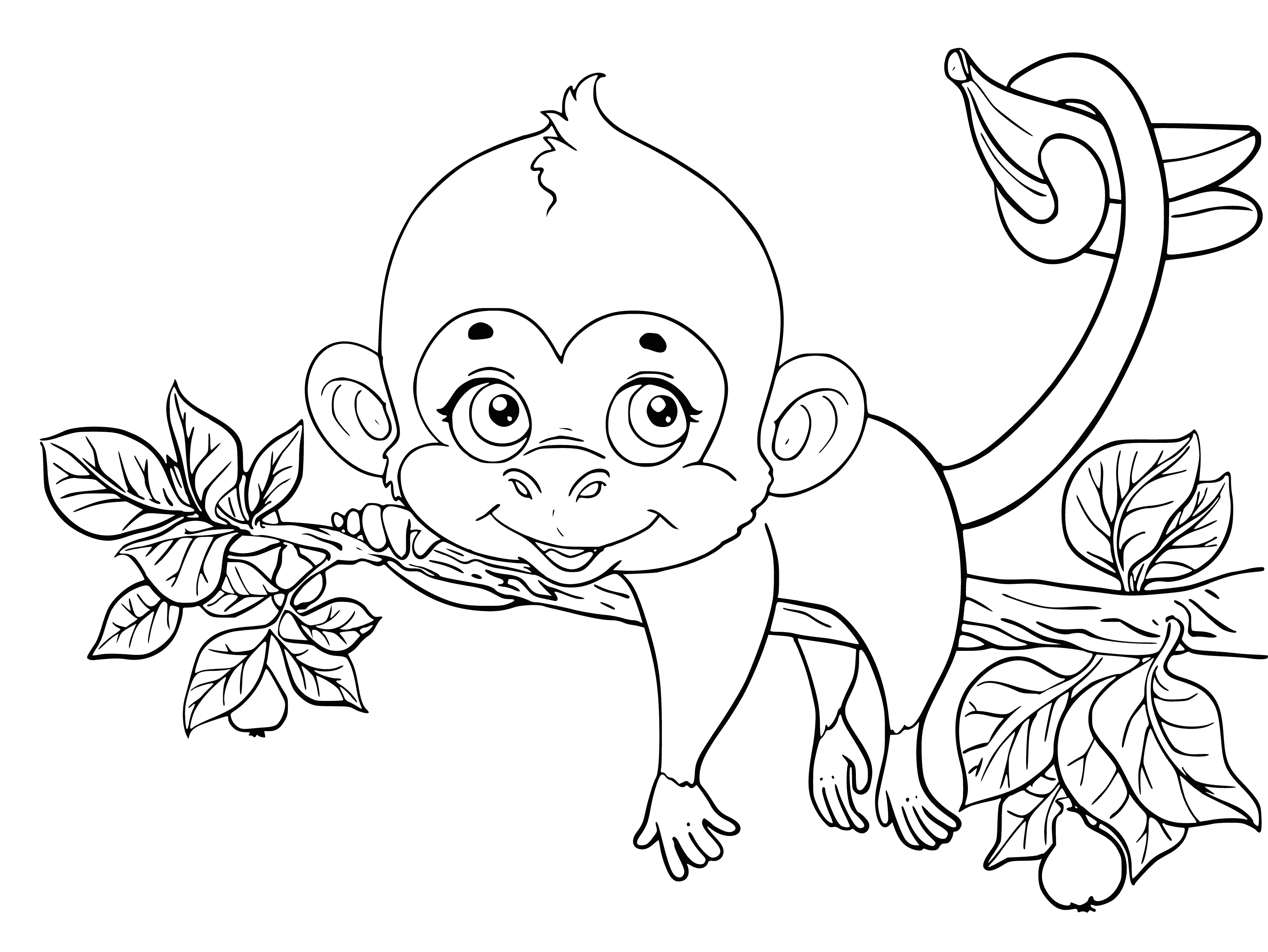 coloring page: Monkey sits on branch: brown body, white face, black eyes, open mouth, long limbs, looking left.