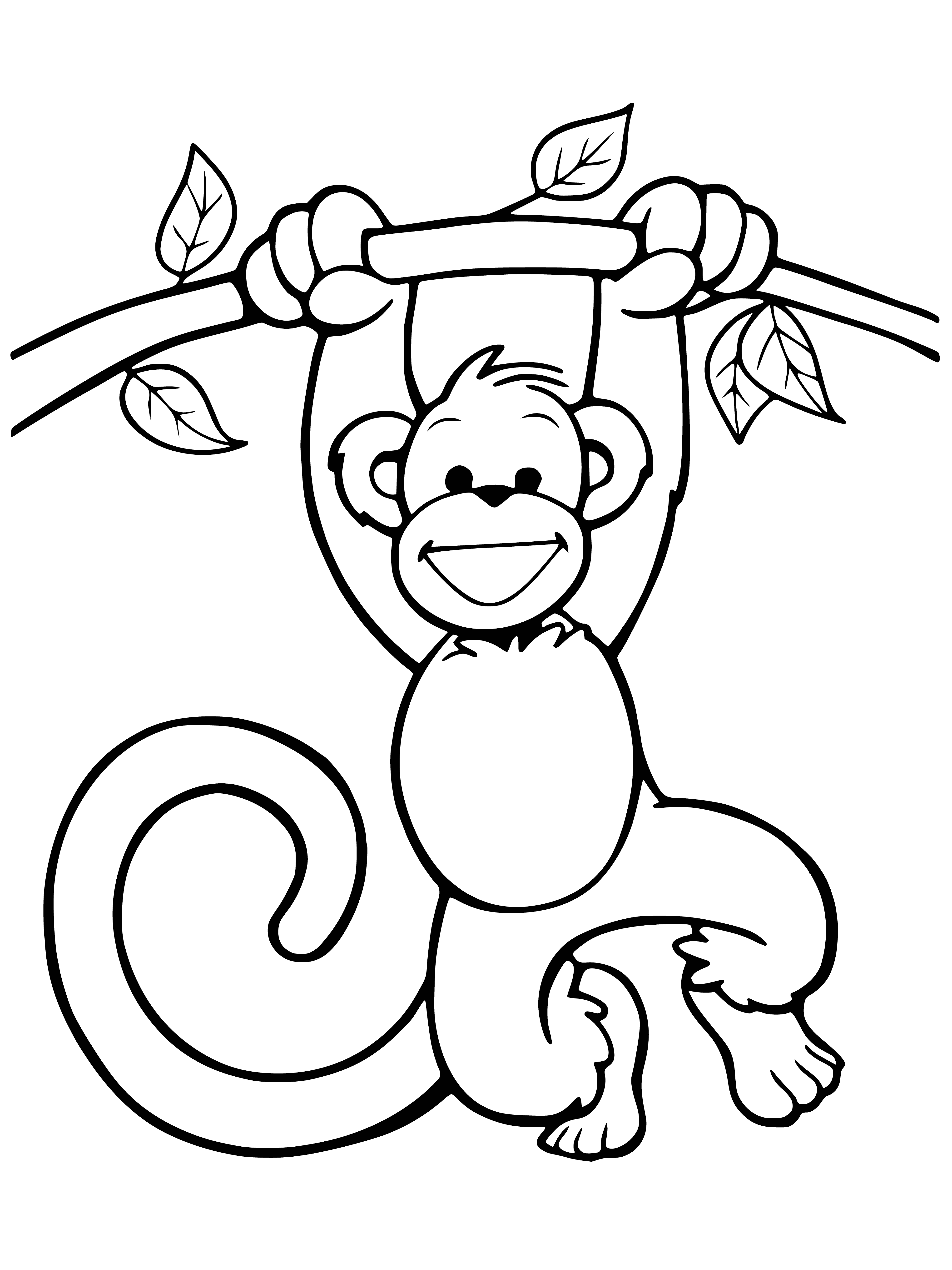 Funny monkey coloring page