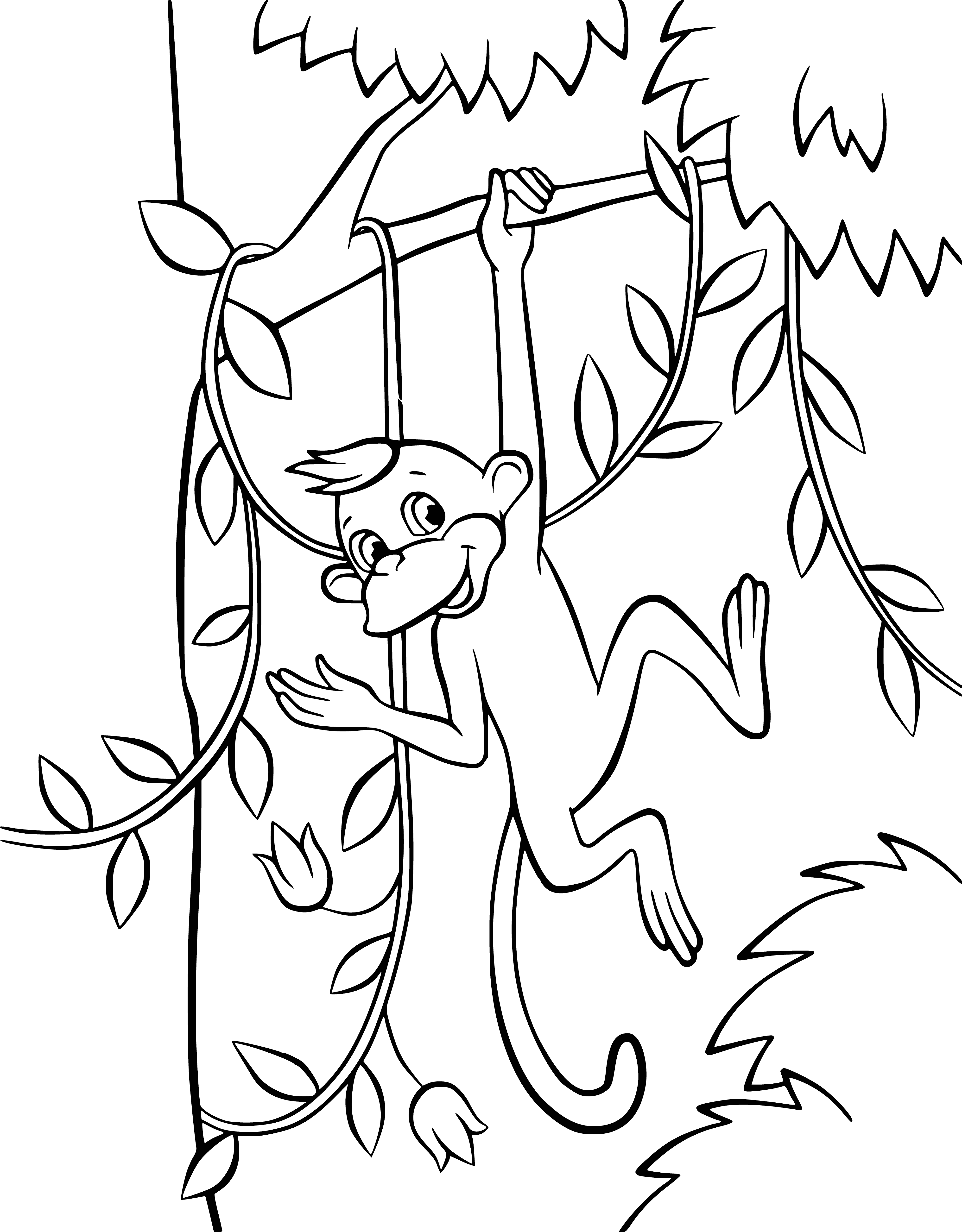 coloring page: Small monkey sits on branch, brown/white fur, long tail, big nose.