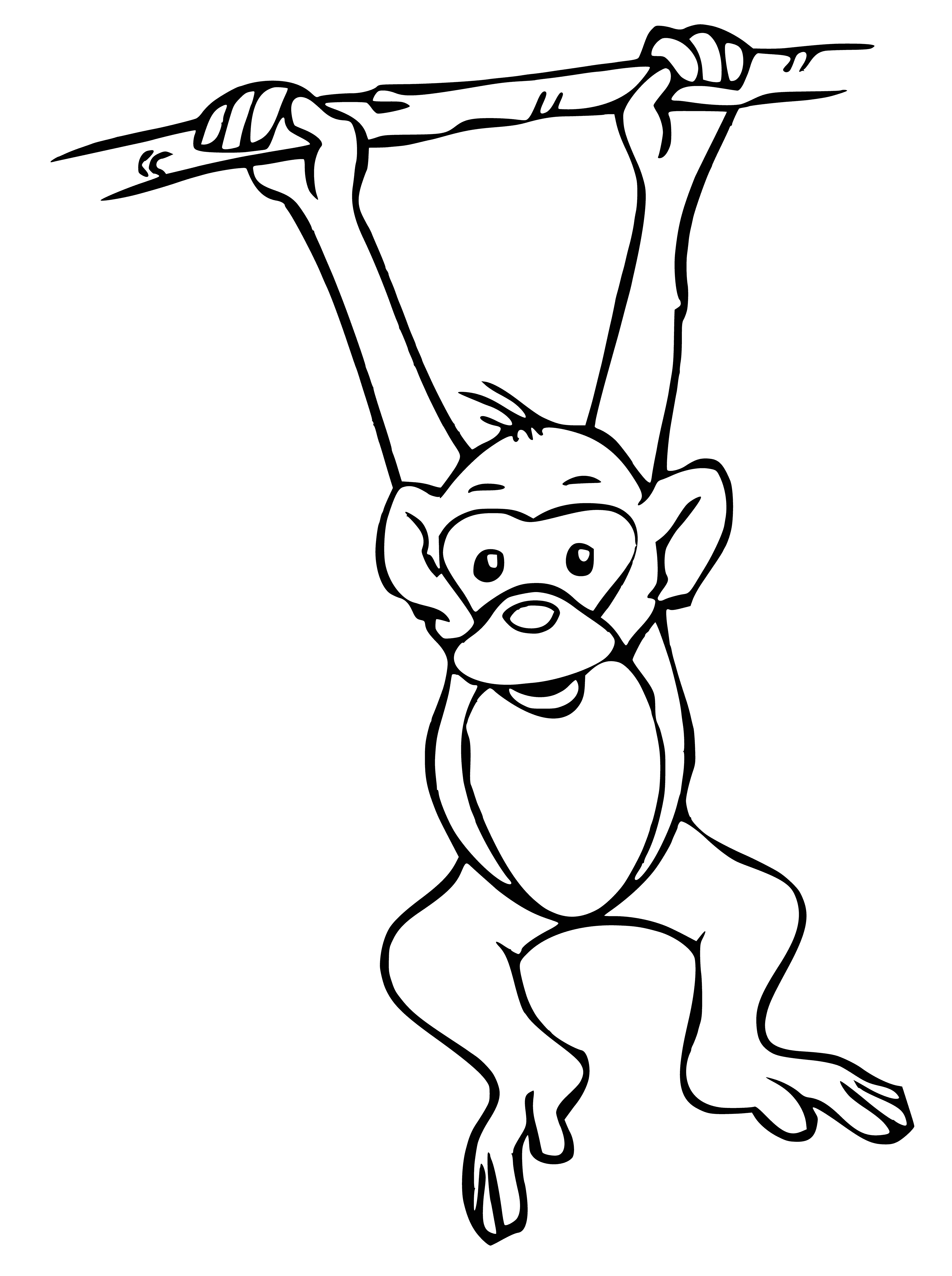 coloring page: Monkey sitting on branch w/brown body & black face eating a banana from a tree w/green leaves.