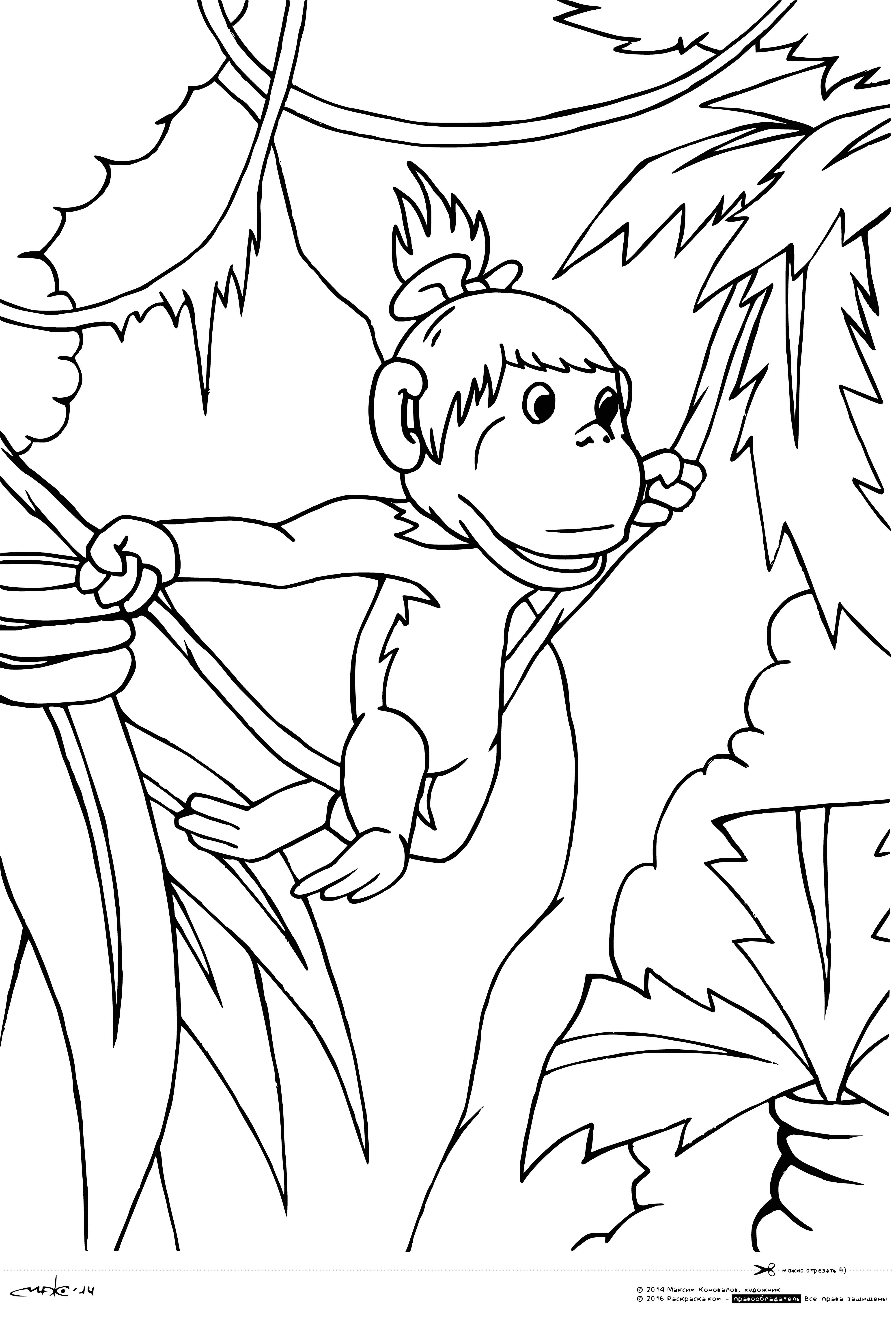 coloring page: 38 parrots in different colors: mostly green w/ yellow/red markings. All appear healthy & active, perching & swinging from branches.