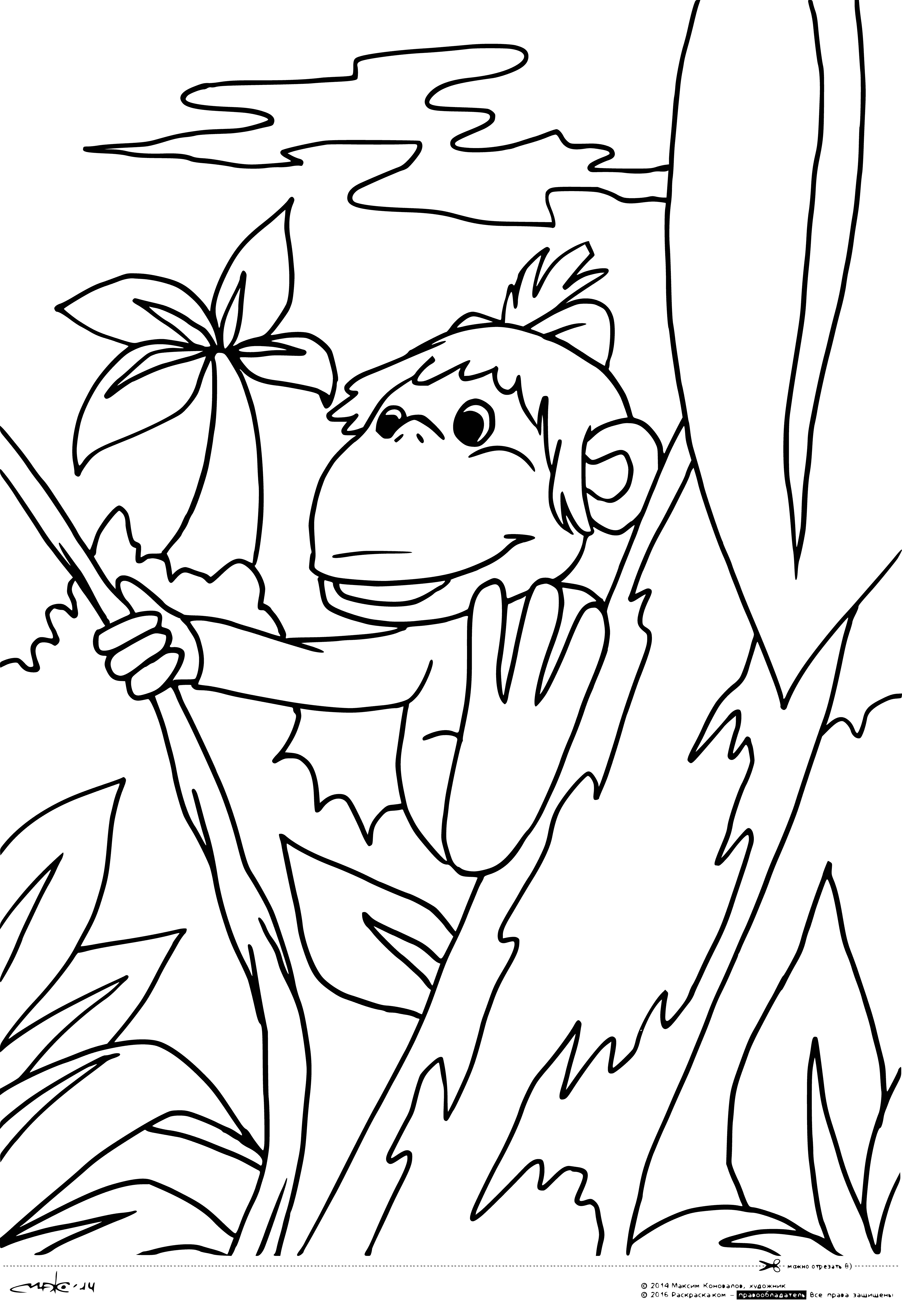 Раскраска обезьяна на Пальме