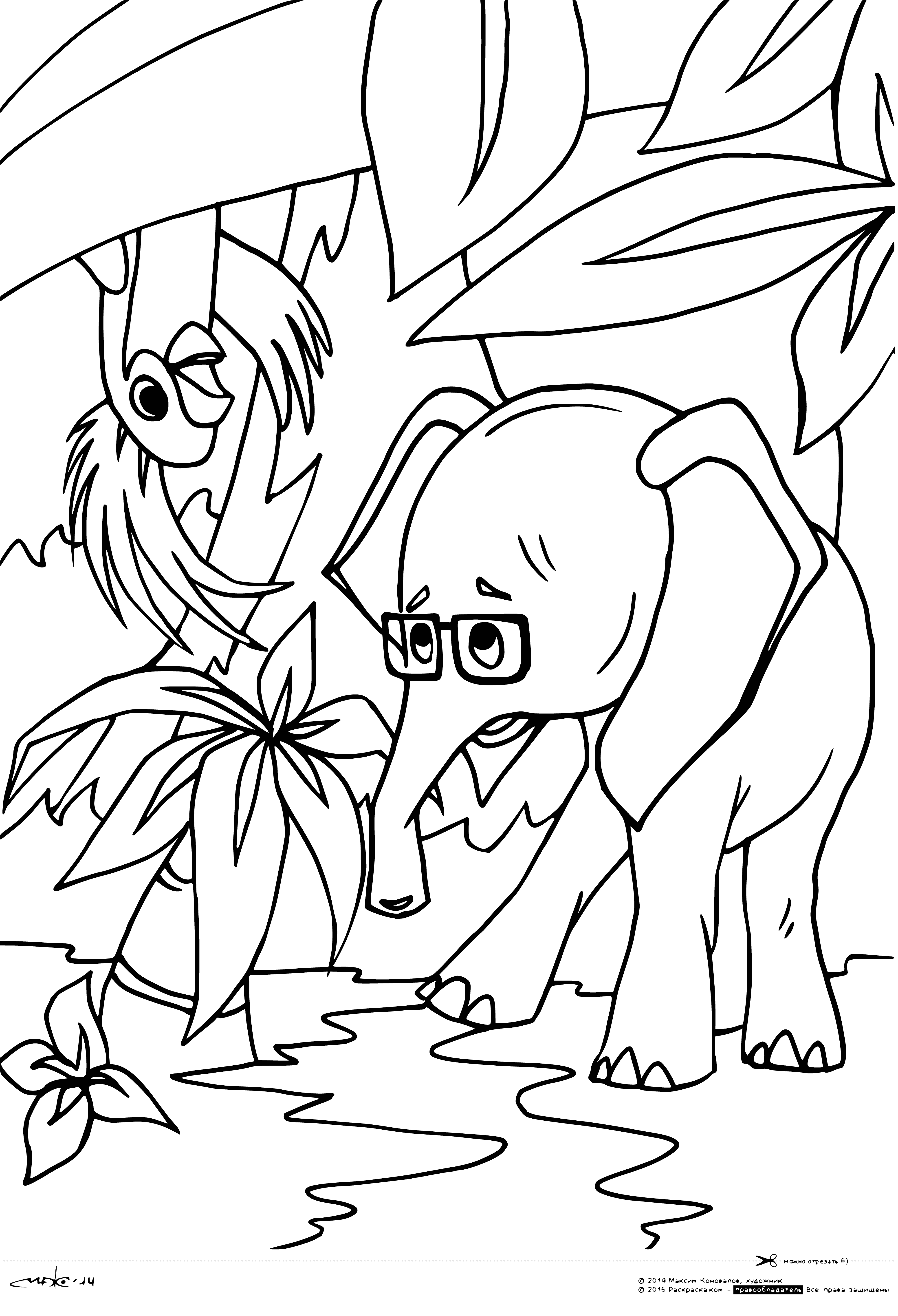 coloring page: Elephant and baby on green grass; parrot atop elephant head, wings outstretched, beak open.