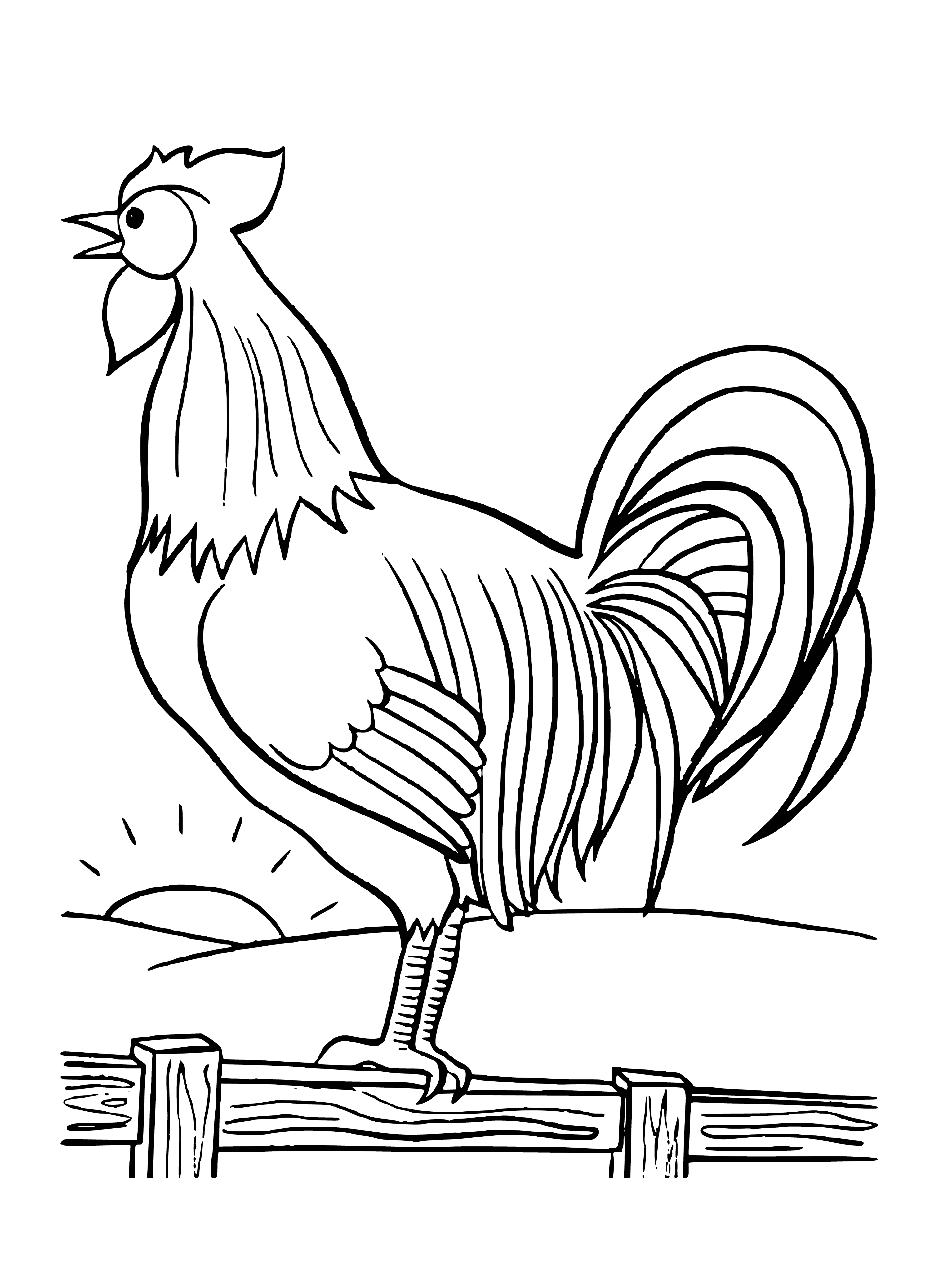 coloring page: A rooster crows atop a fence post in a misty barnyard at sunrise.