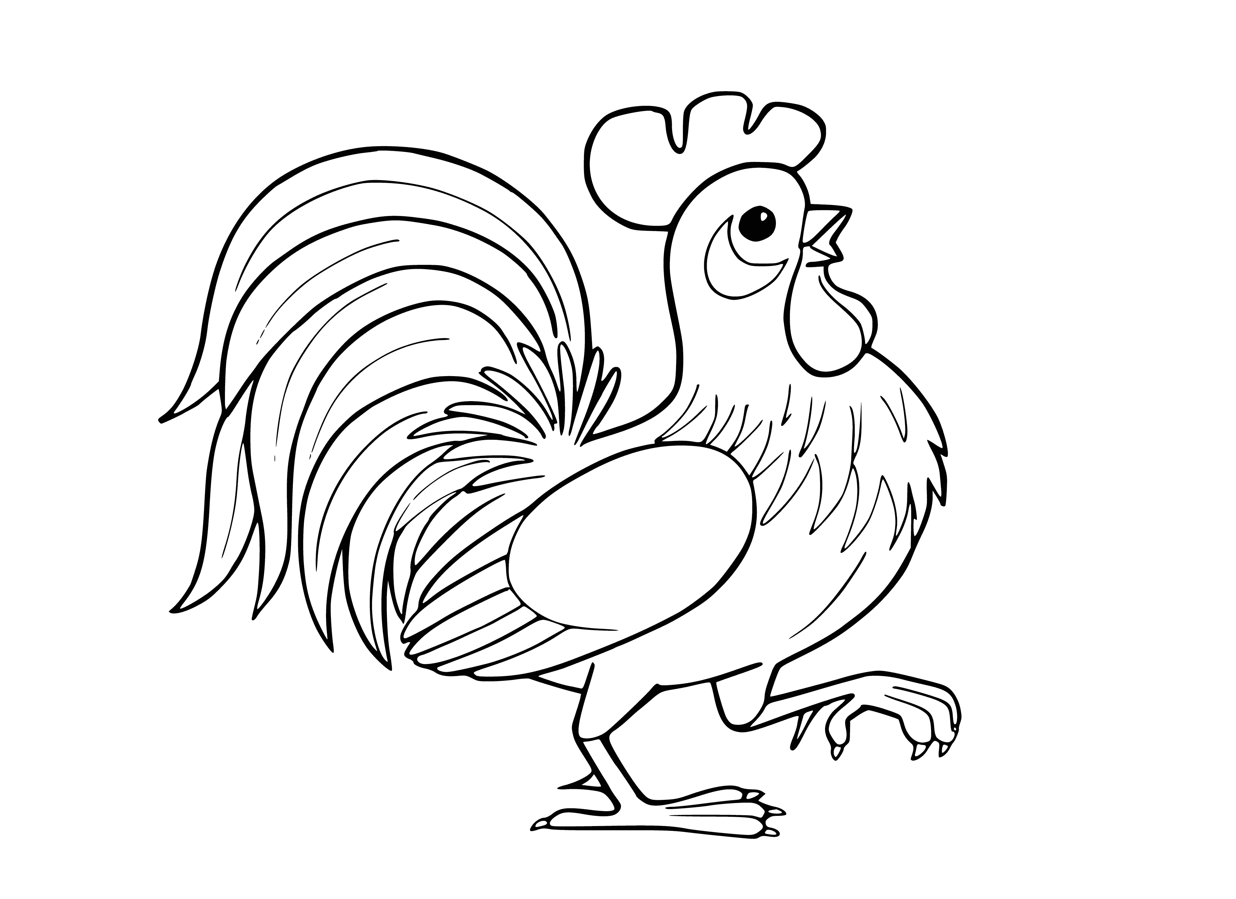 coloring page: Roosters are male chickens with long tails that crow loudly; they come in a variety of colors.