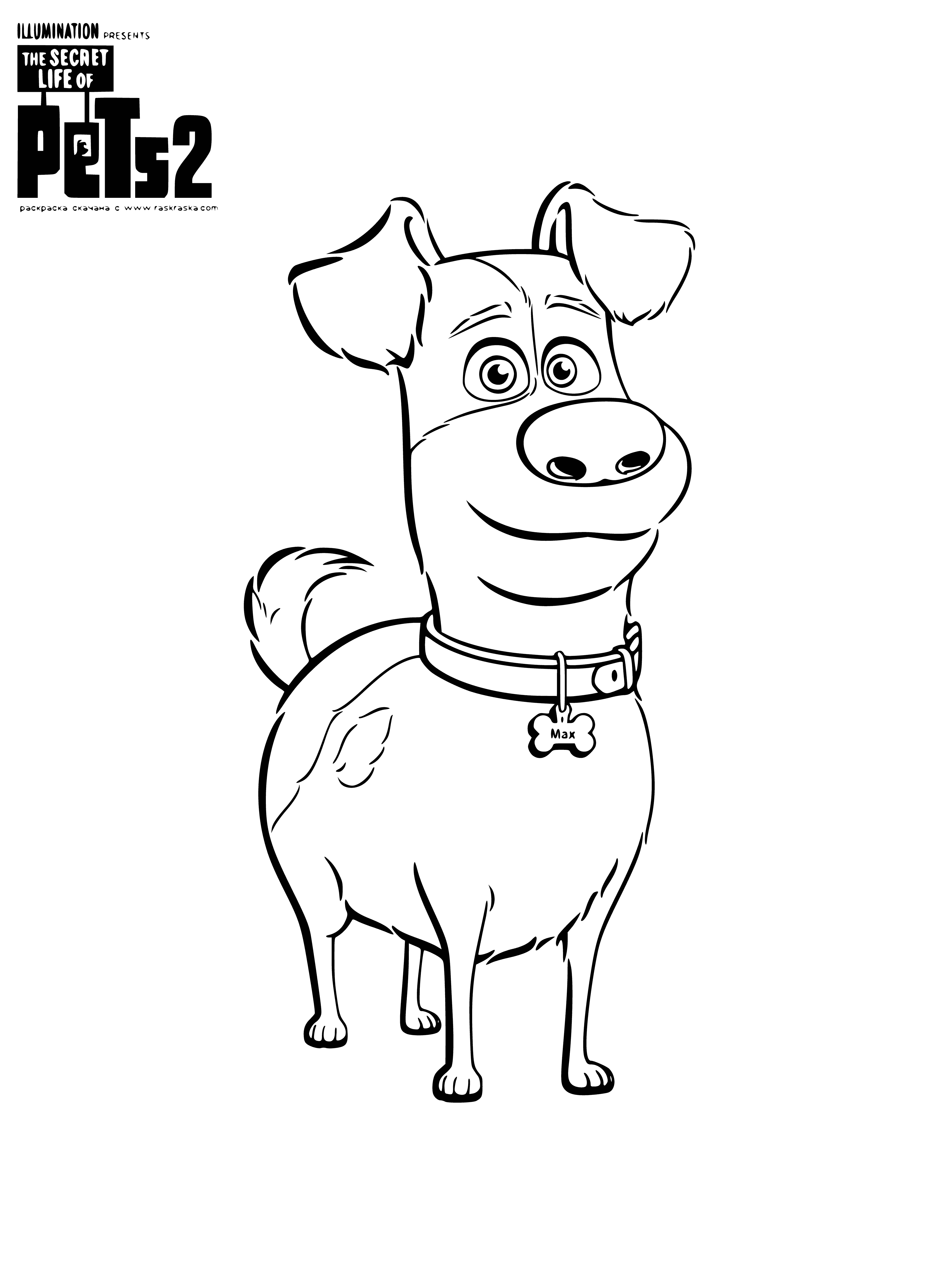 coloring page: Terrier runs joyfully through park, chasing ball thrown by beloved human owner, looking back with pure joy.