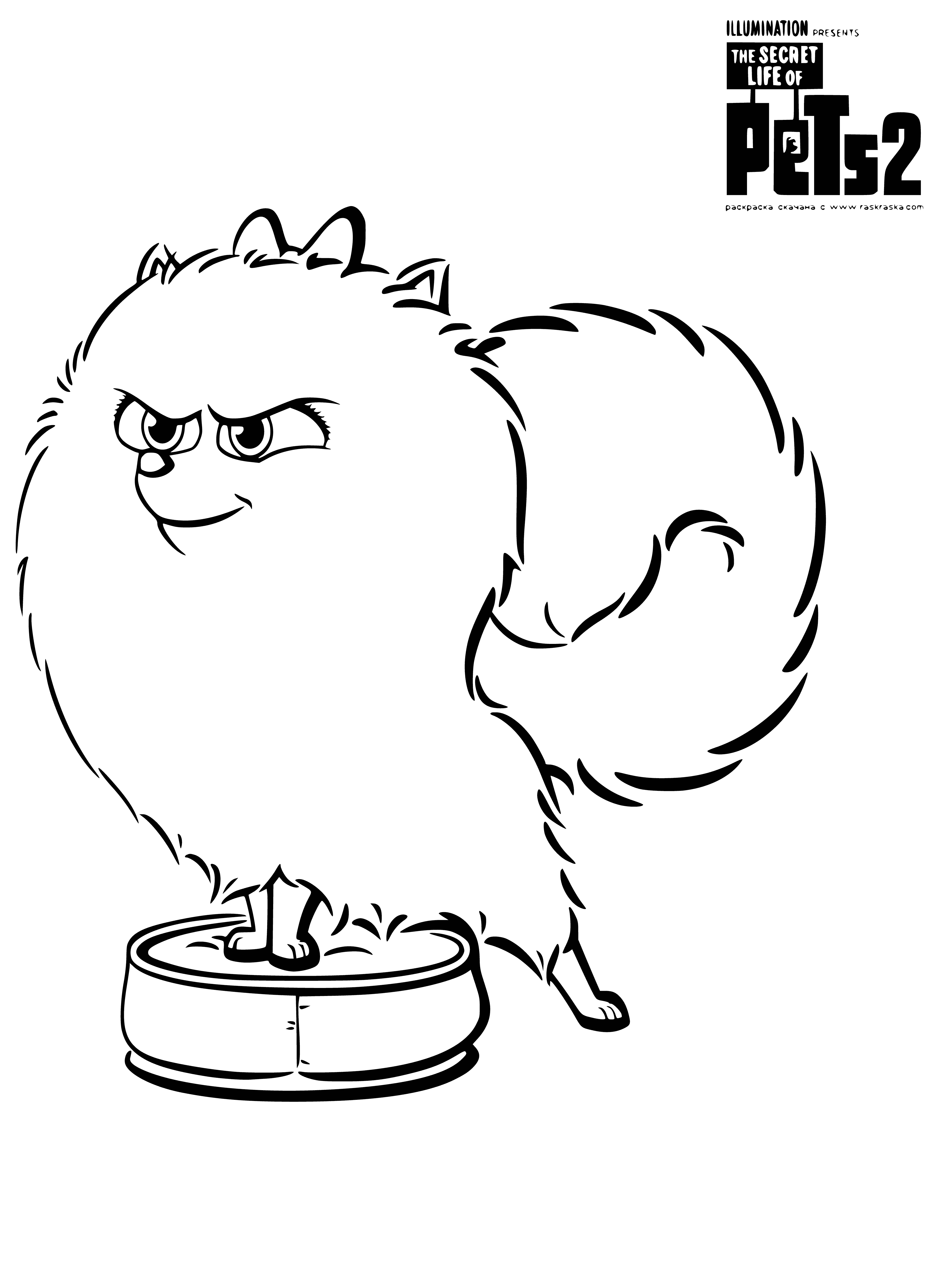 Spitz Gidget coloring page