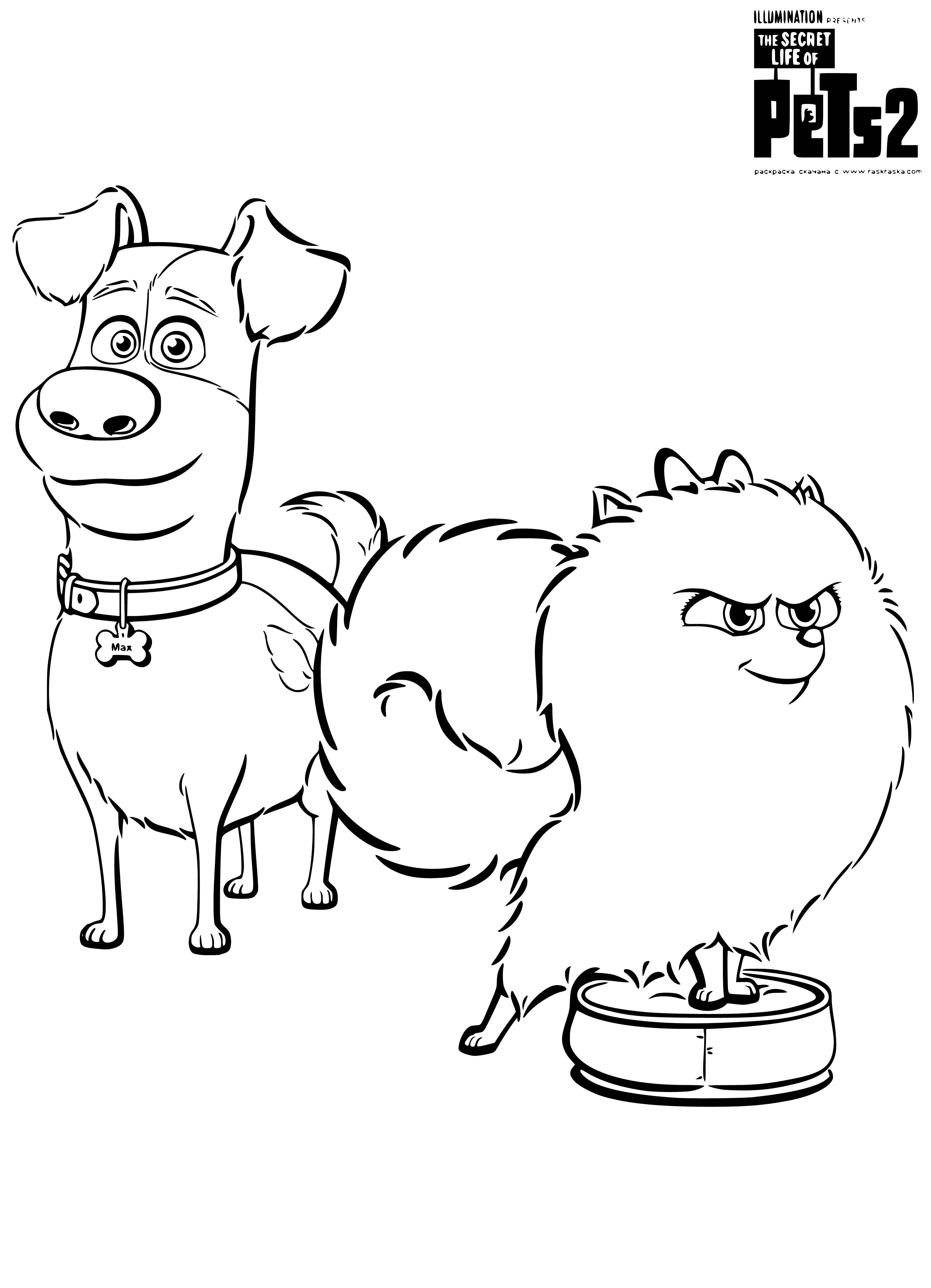 coloring page: Two happy dogs, Max & Gidget, stand & sit surrounded by trees & flowers. Max is by a picket fence & both have their tongues out ready for fun!