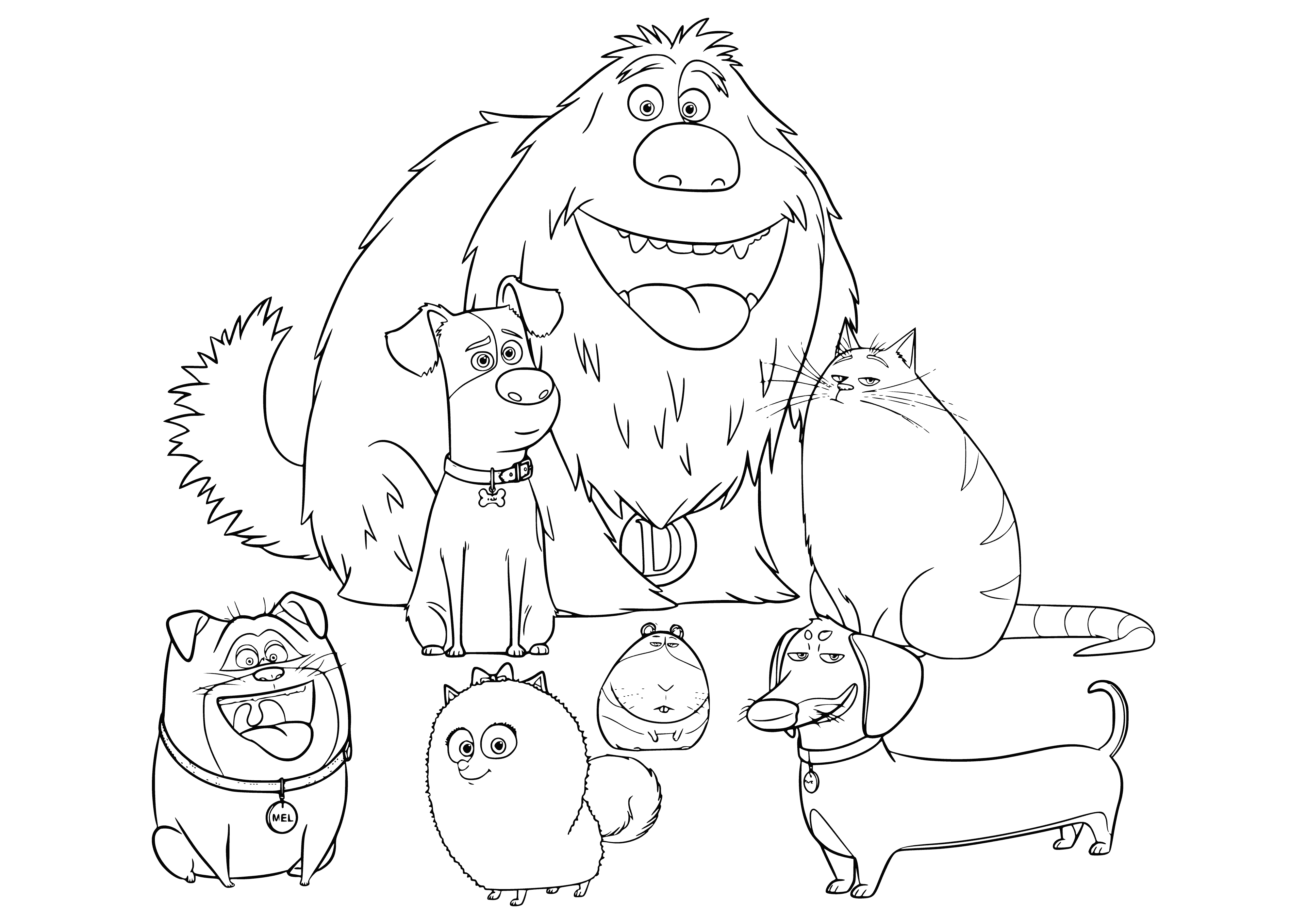 The Secret Life of Pets coloring page