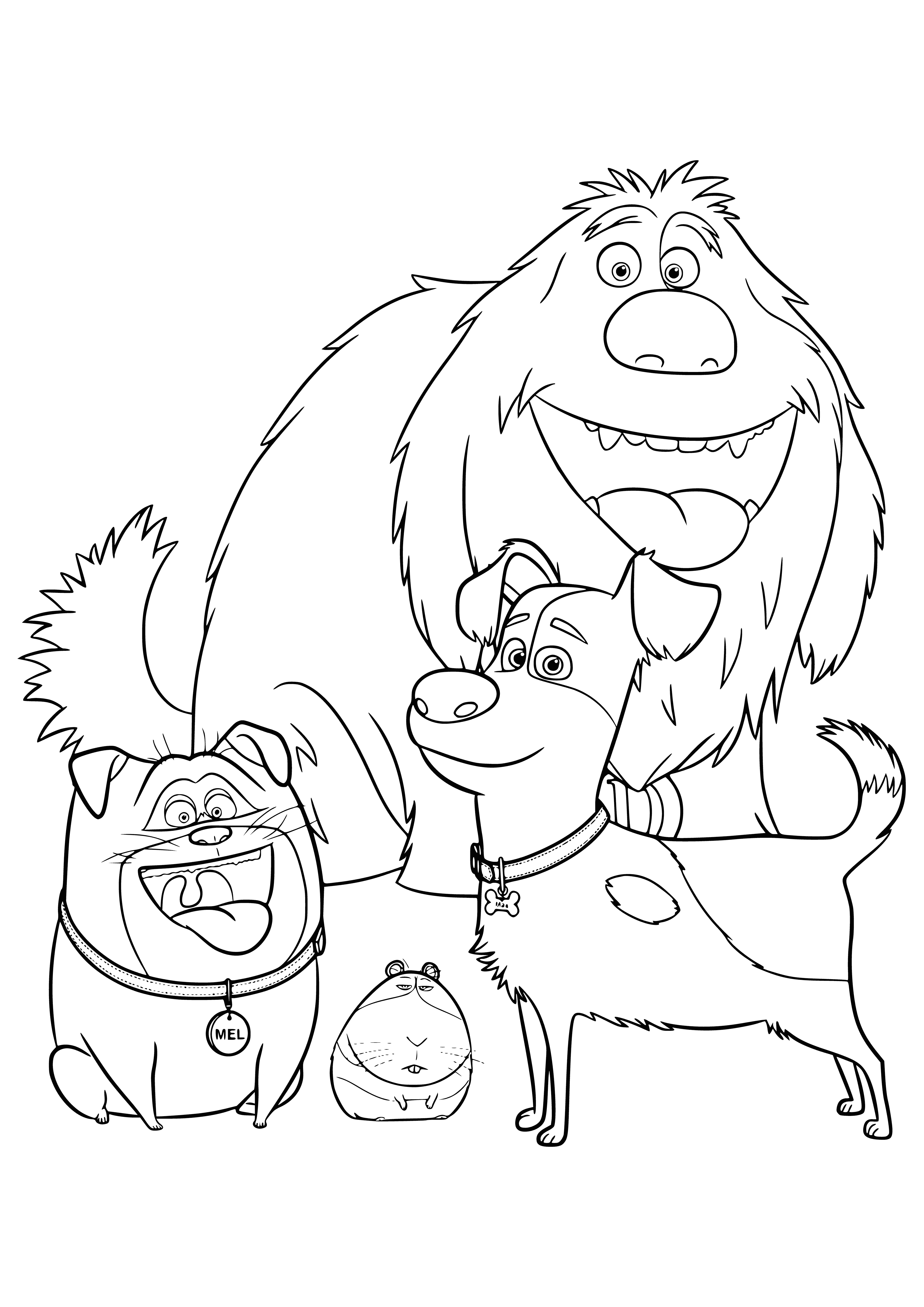 coloring page: A dog and cat peacefully together, enjoying food and a toy.