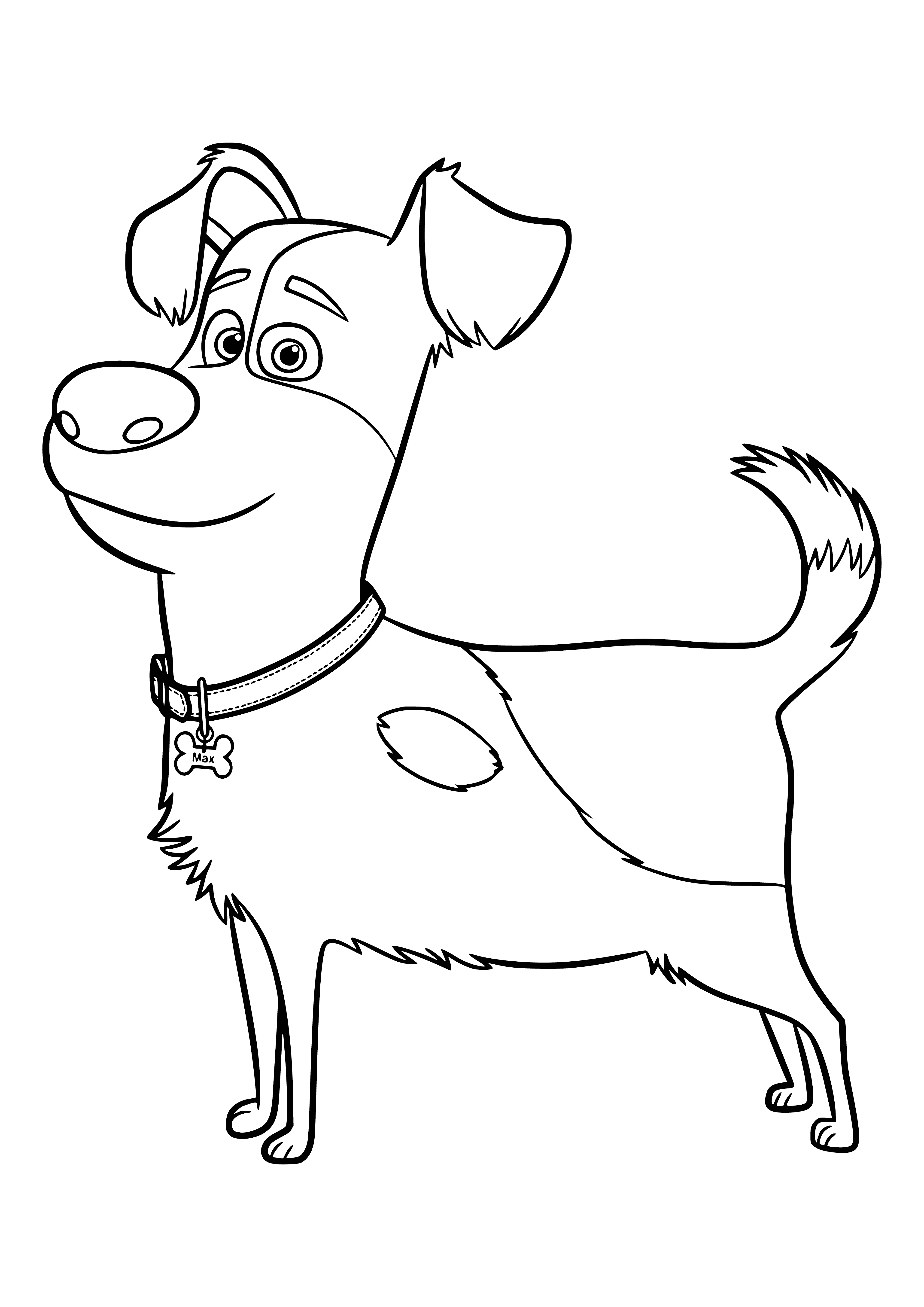Max coloring page