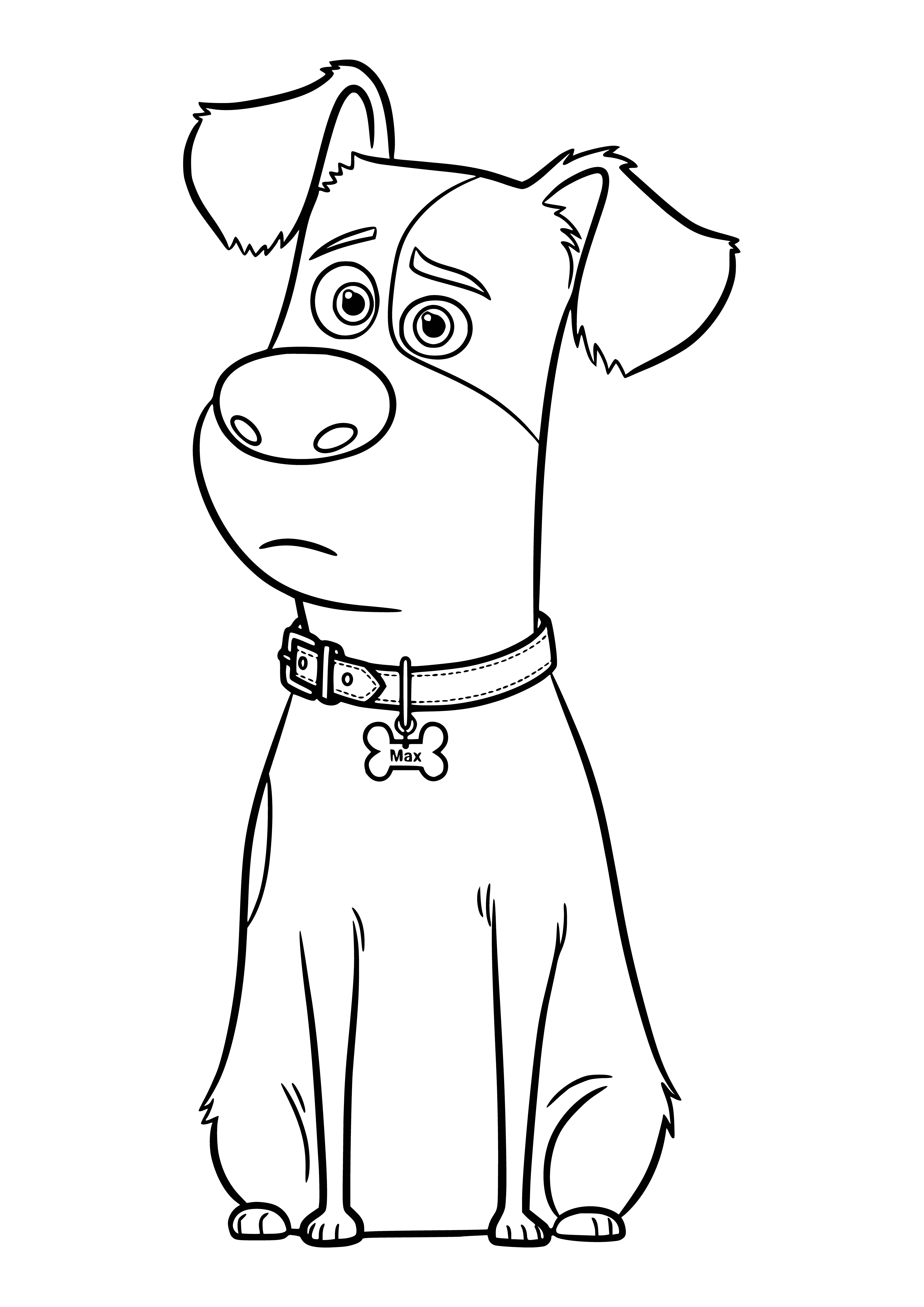 coloring page: Max the terrier is running around the backyard, chasing his beloved ball. #dog #aww #love