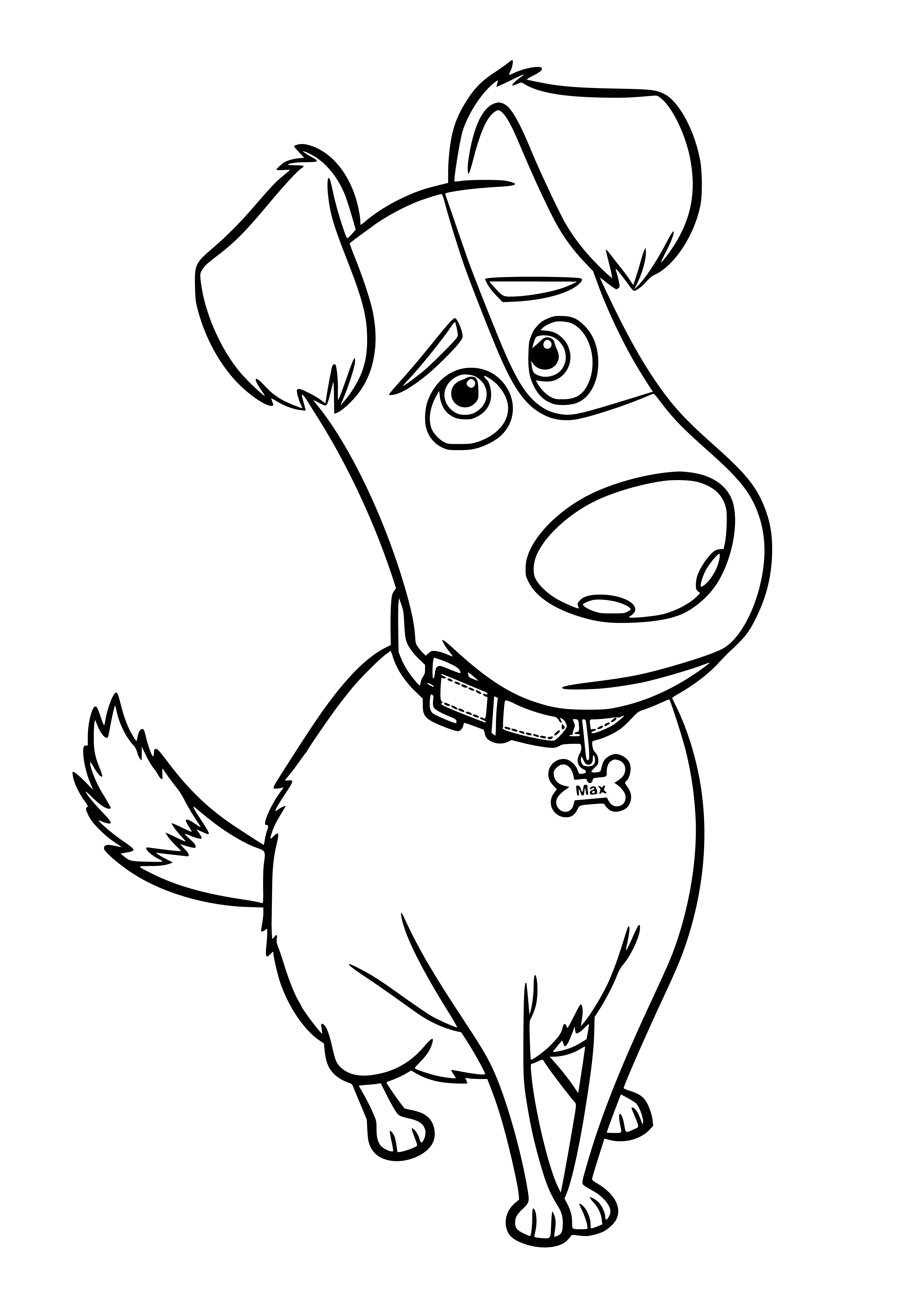 coloring page: Max, a city terrier, loves his life of play, naps & walks. When alone, he embarks on adventures with his friends, but always comes home at the end.